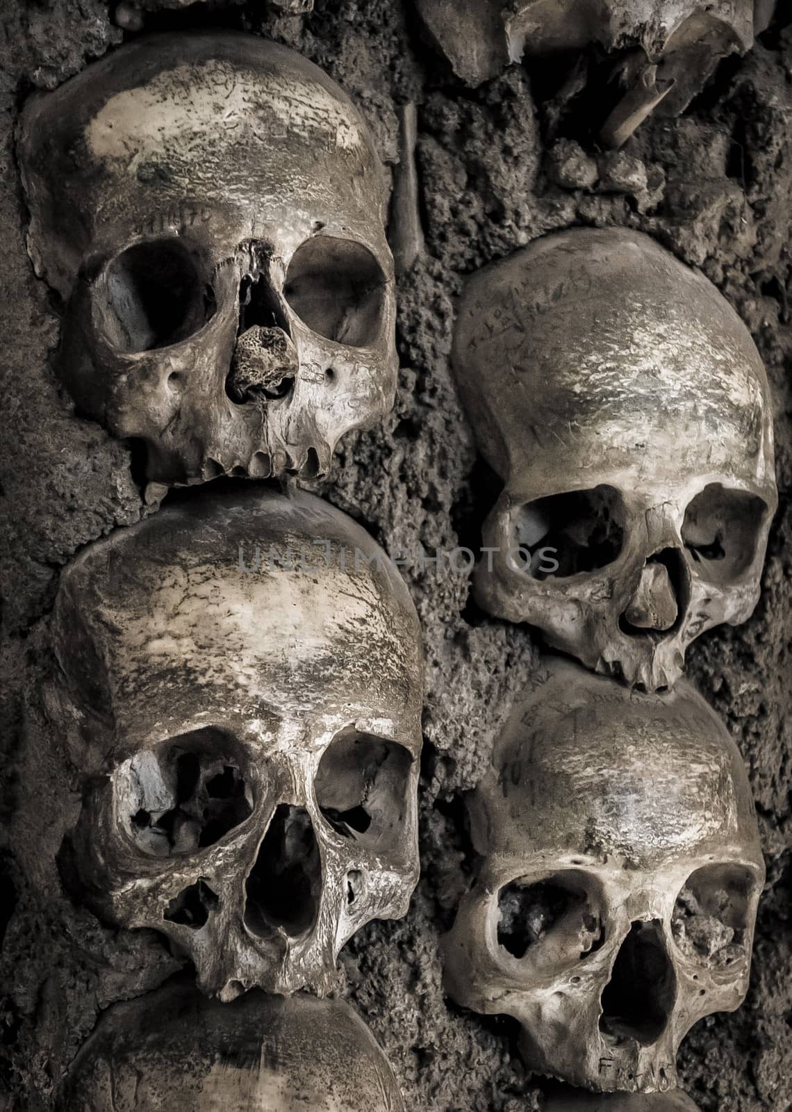 Wall full of skulls and bones by gilmanshin