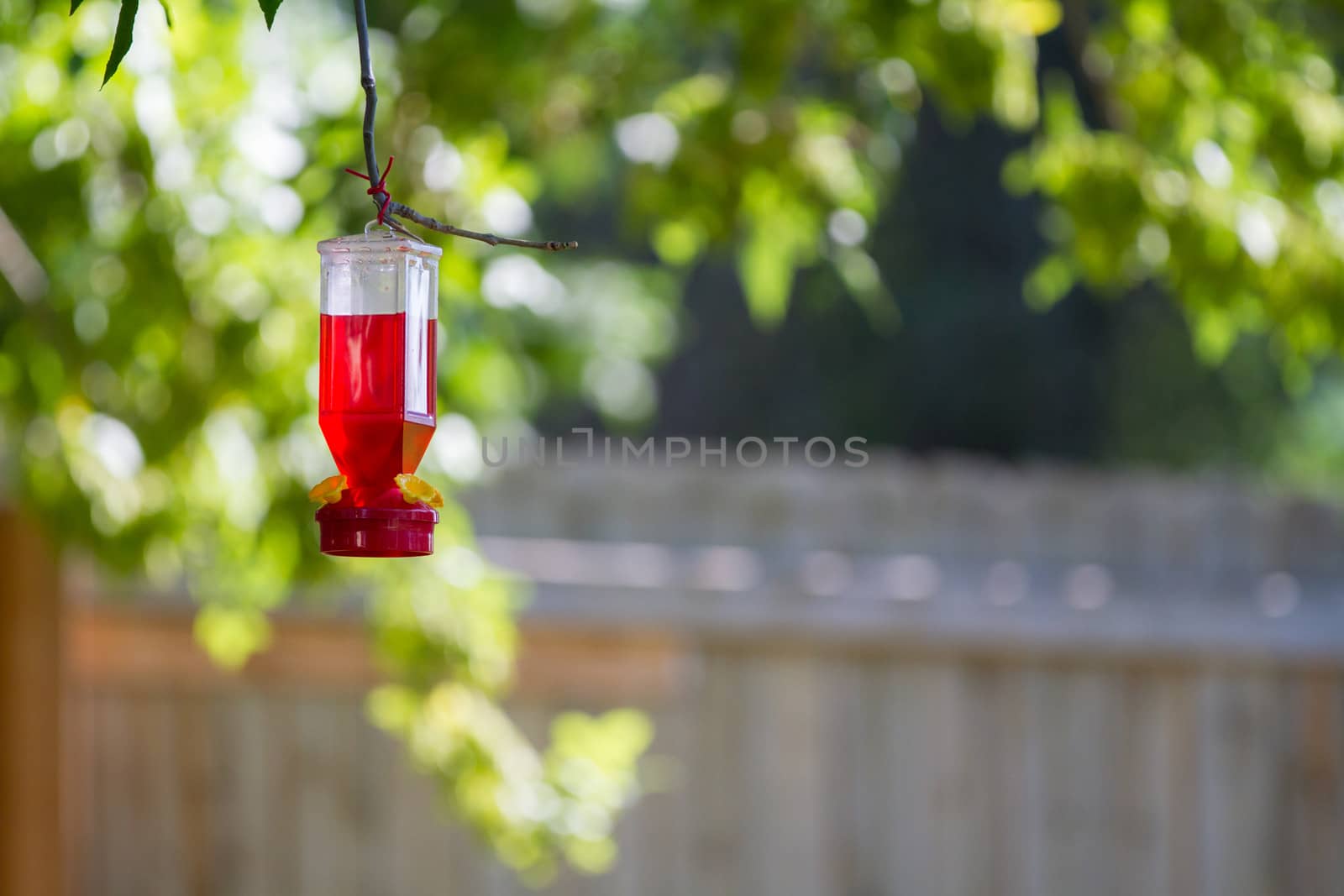 Bird feeder against some green trees for the background