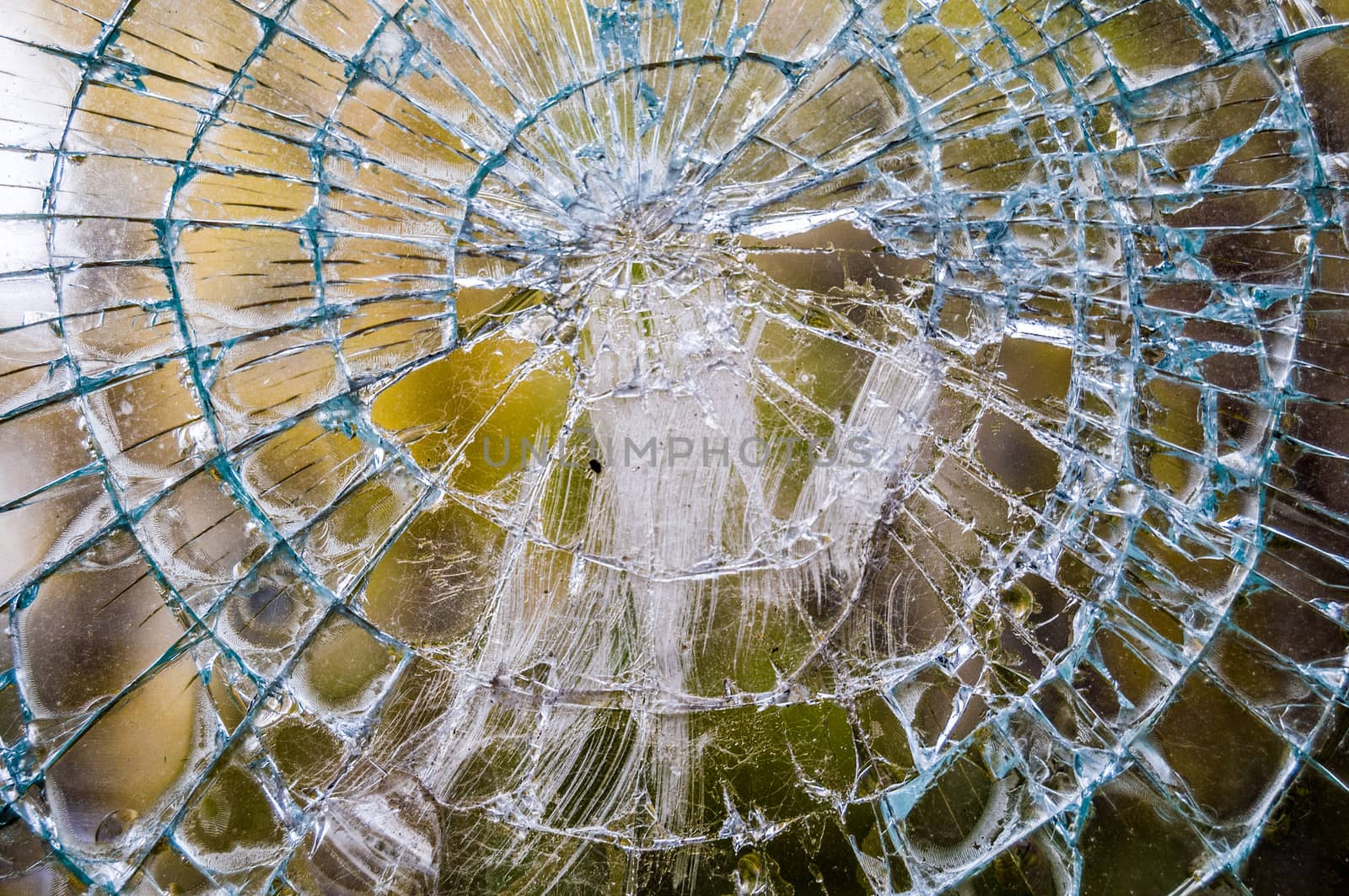 closeup of a window shattered in many pieces