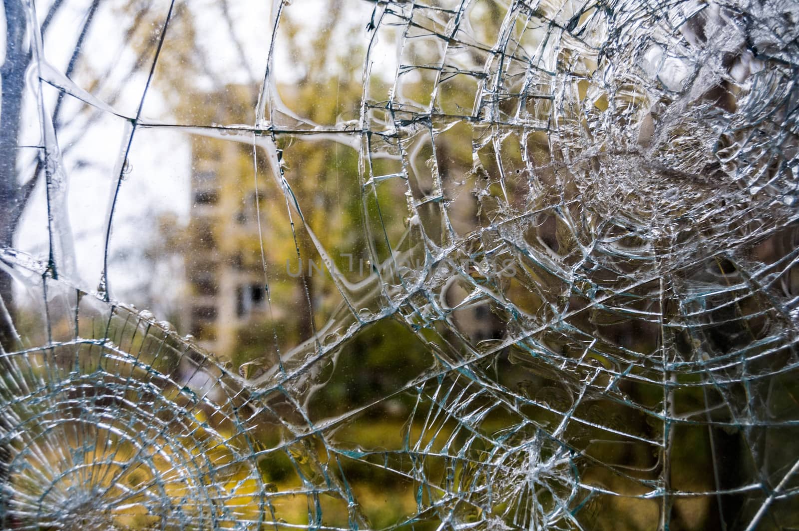 closeup of a window shattered in many pieces