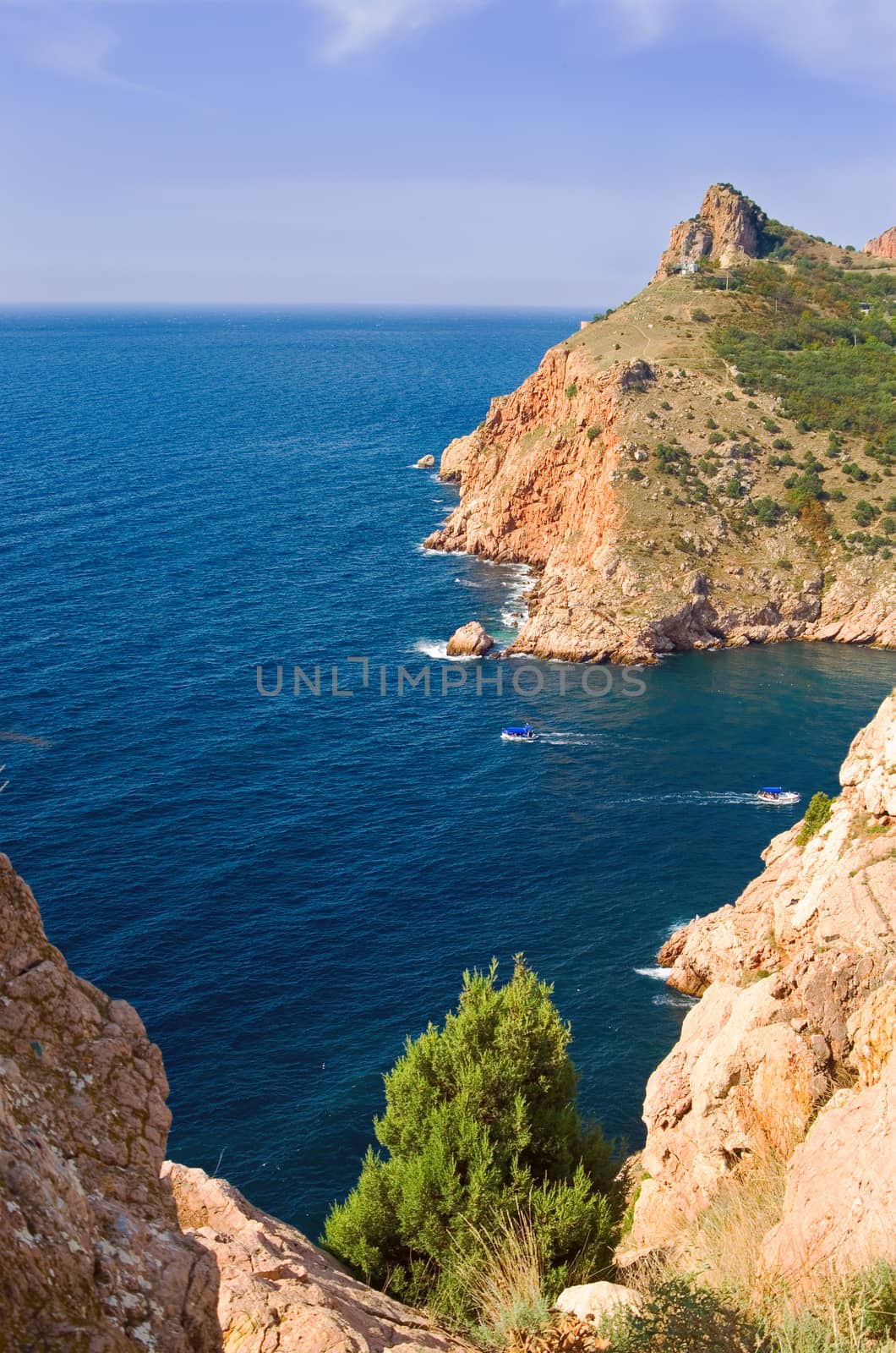 Coastline with pine trees ("Inzhir" reserve, Crimea, Ukraine) 