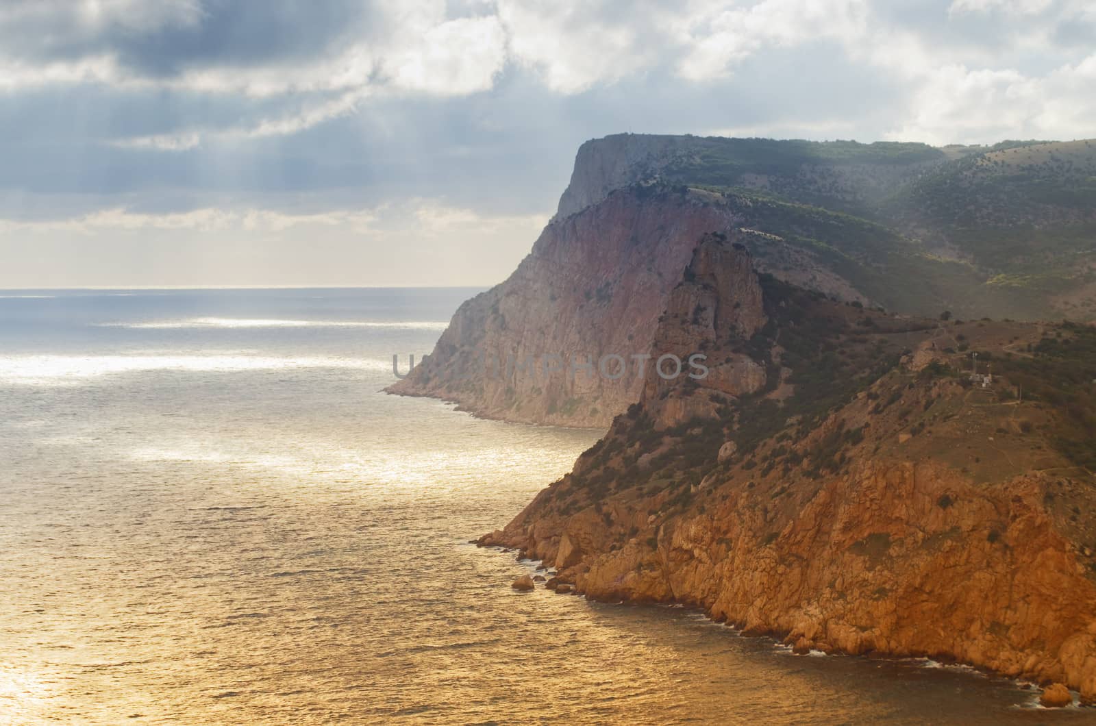 Coastline with pine trees ("Inzhir" reserve, Crimea, Ukraine) 