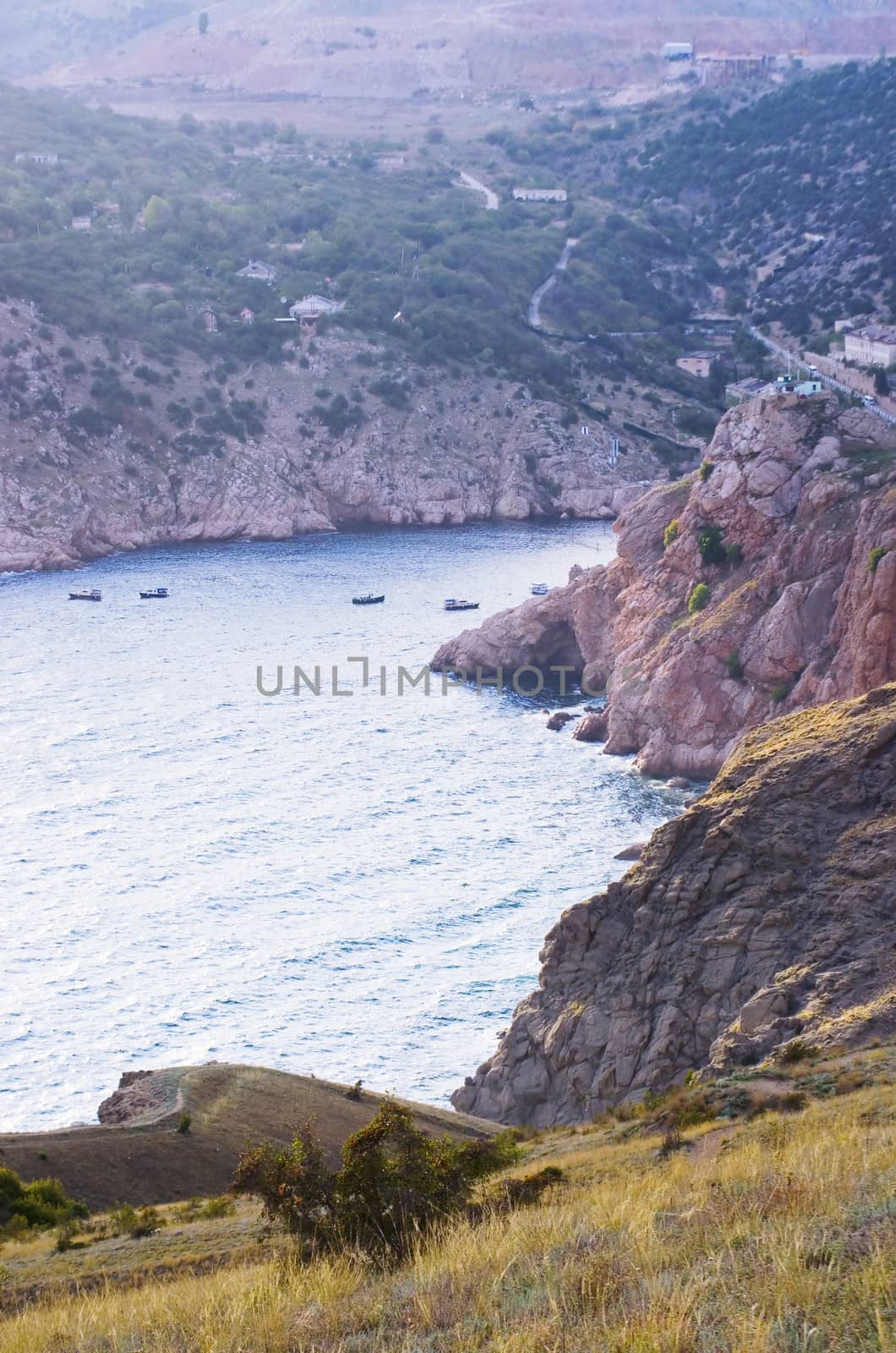 Coastline with pine trees ("Inzhir" reserve, Crimea, Ukraine) 