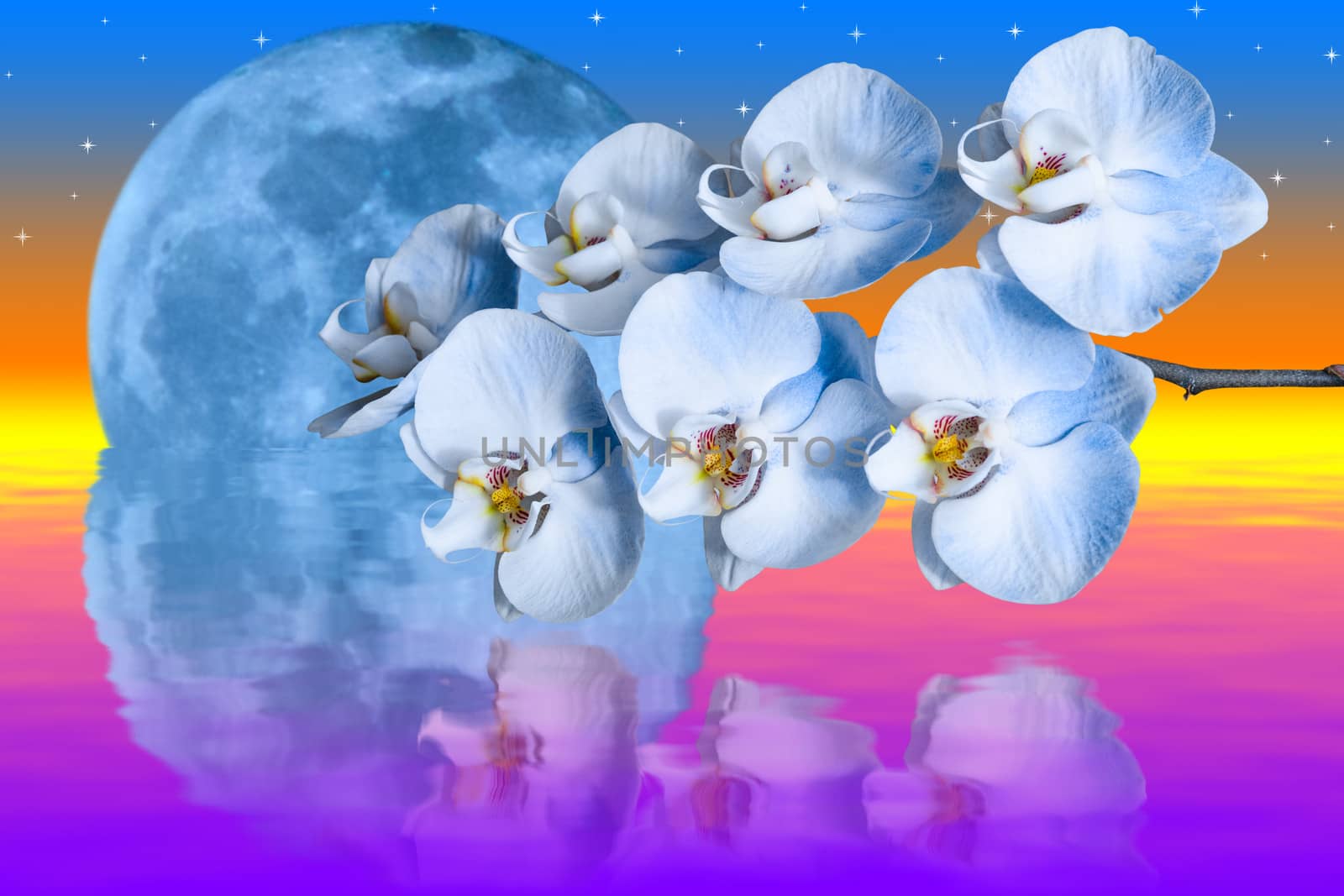 Giant blue moon and romantic orchids flower reflected in water against bright colorful sky