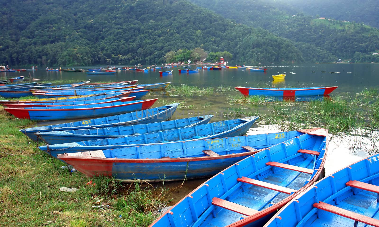 Boats in Pokhara Fewa Lake, Nepal