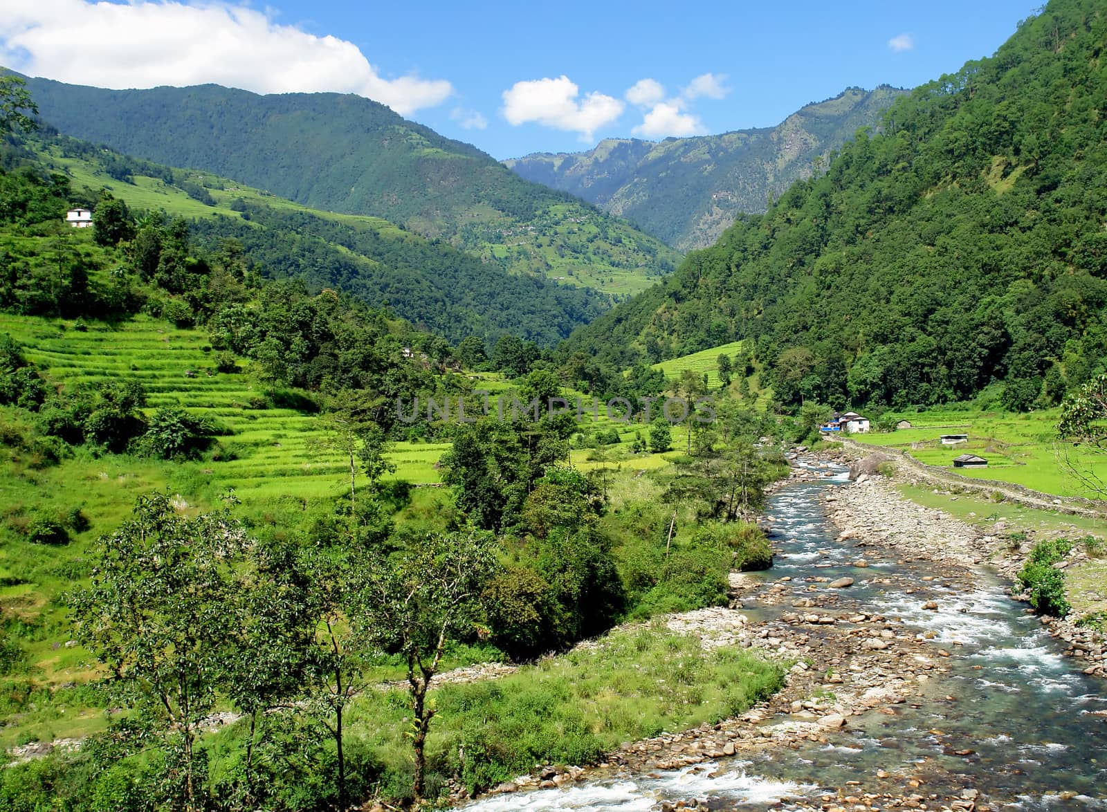 Rice fields and freshwate. Himalayan landscape, Nepal