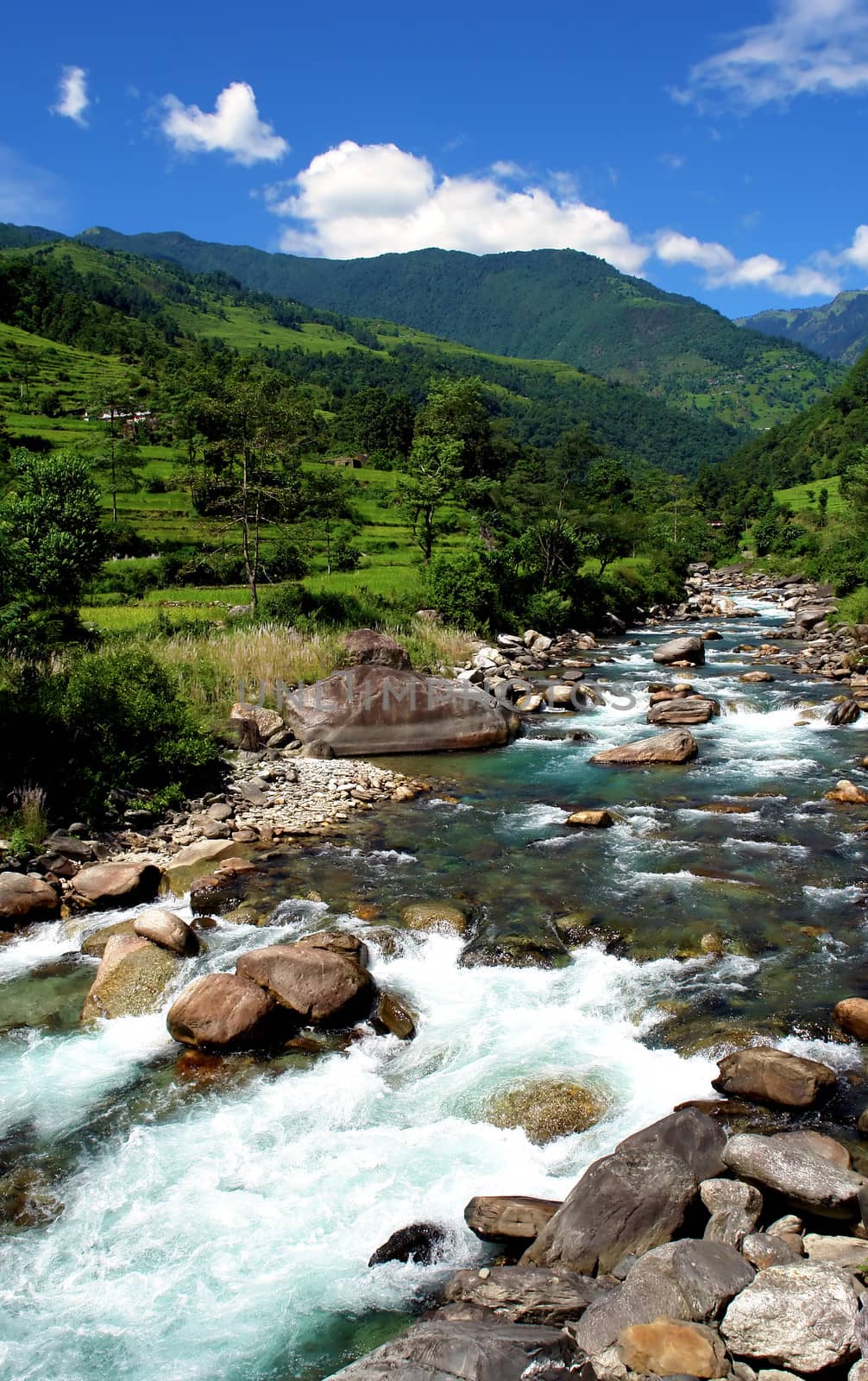 Green rice fields and mountain river landscape, trek to Annapurna Base Camp in Nepal