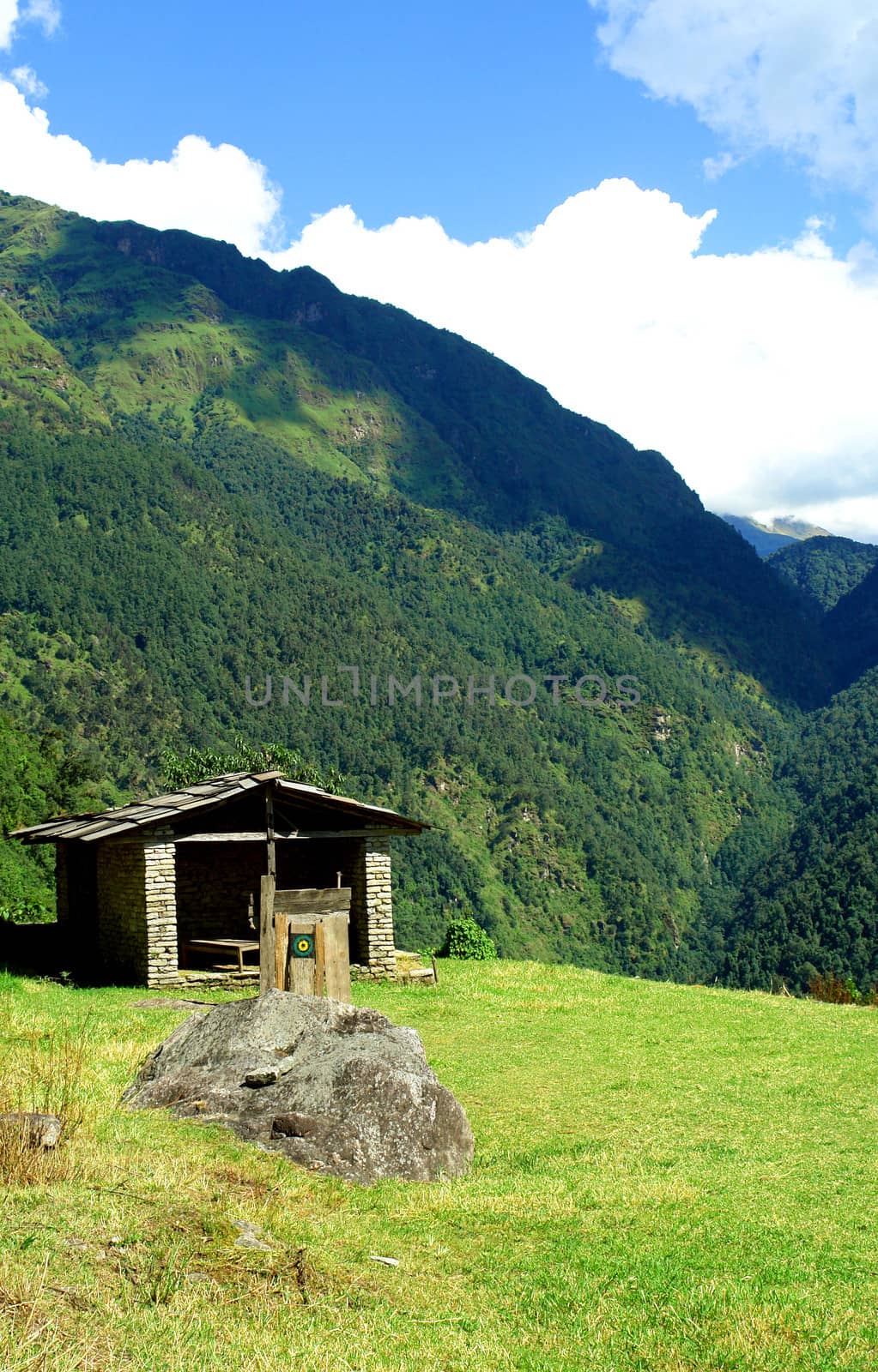 Beautiful himalayan forest landscape, trek to Annapurna Base Camp in Nepal

                               