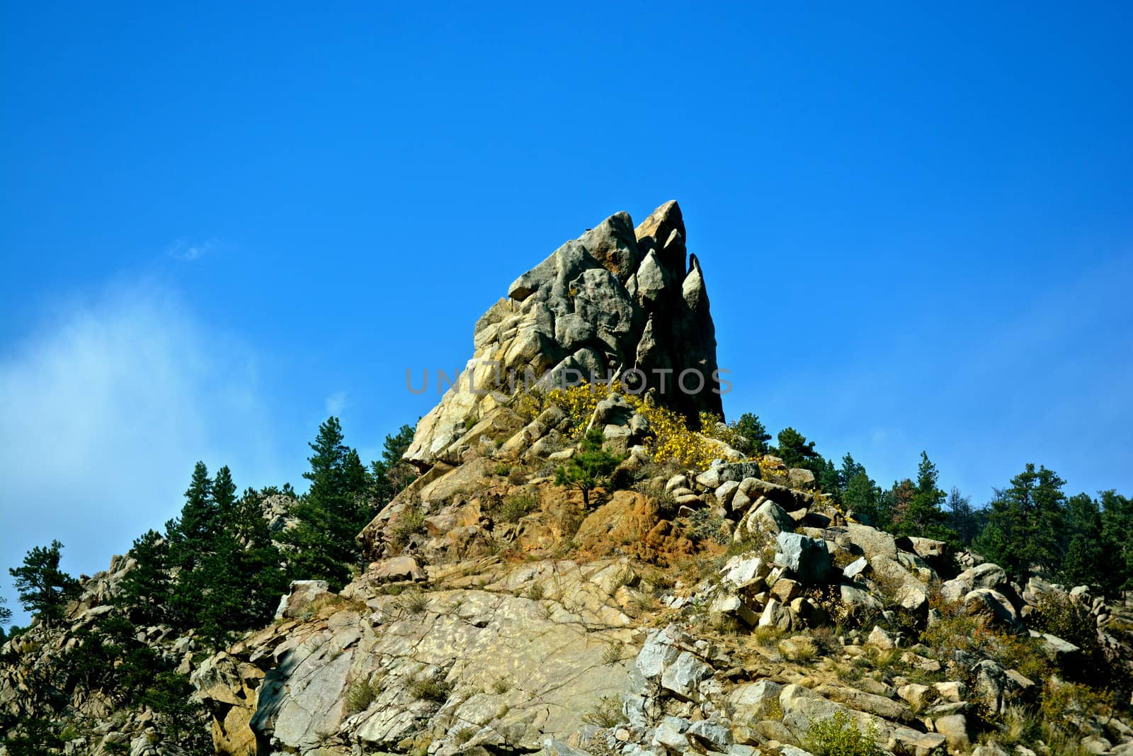 Trees, mountains and nature in Colorado