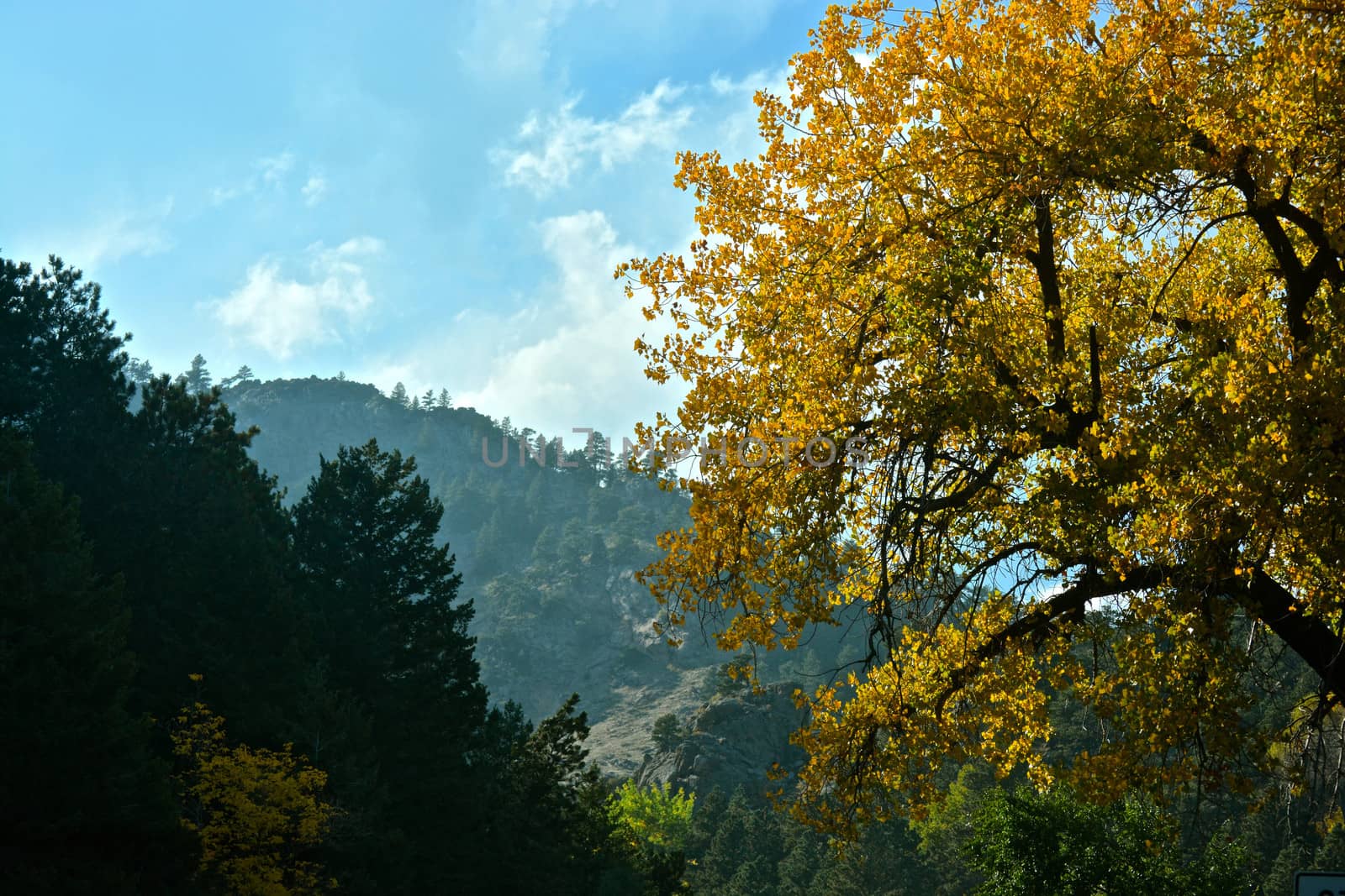 Colorado Mountains by RefocusPhoto