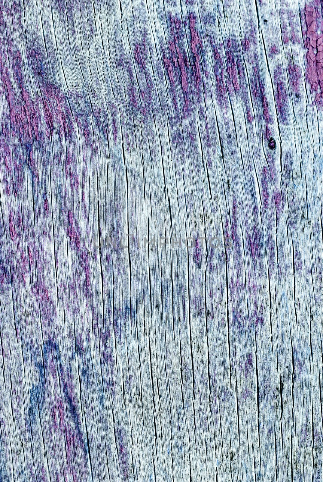 texture of old painted wood