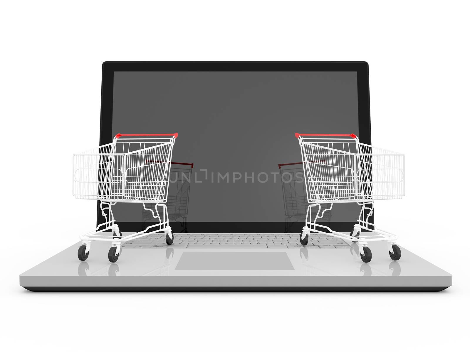 Laptop and Shopping Carts by niglaynike