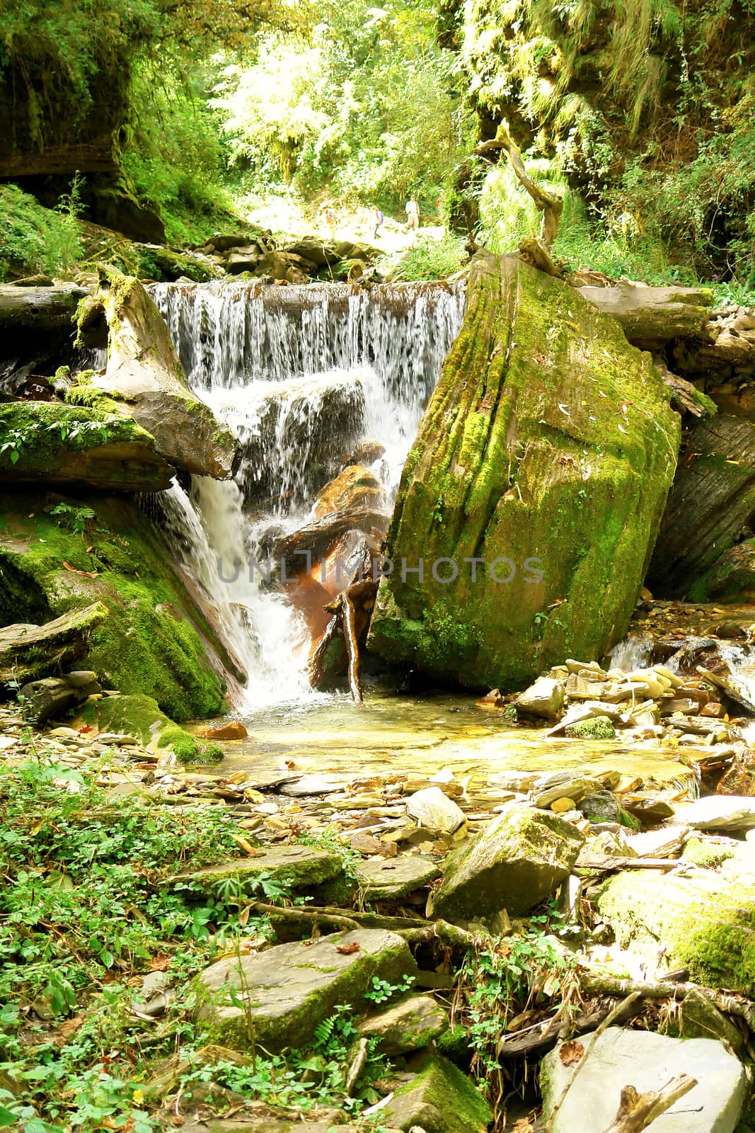 Water stream movement on the stone background, Nepal Himalayan forest 
