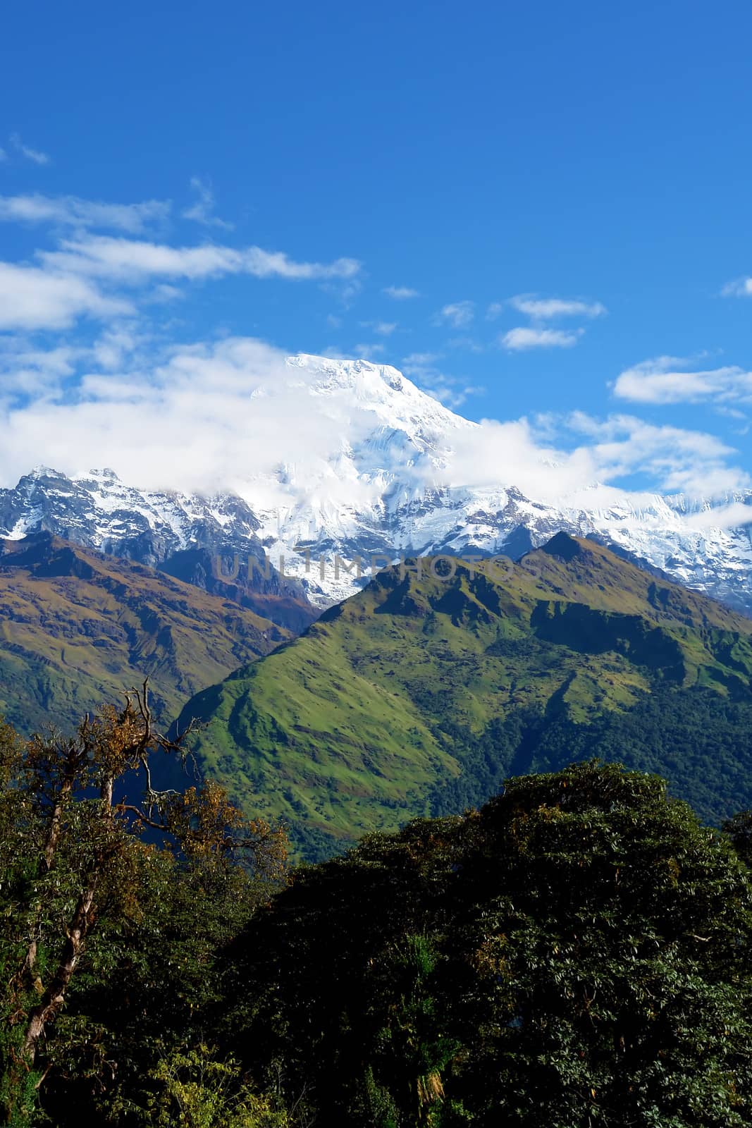 View of "Fish Tail" mountain, trek to base camp Annapurna conservation area, Nepal