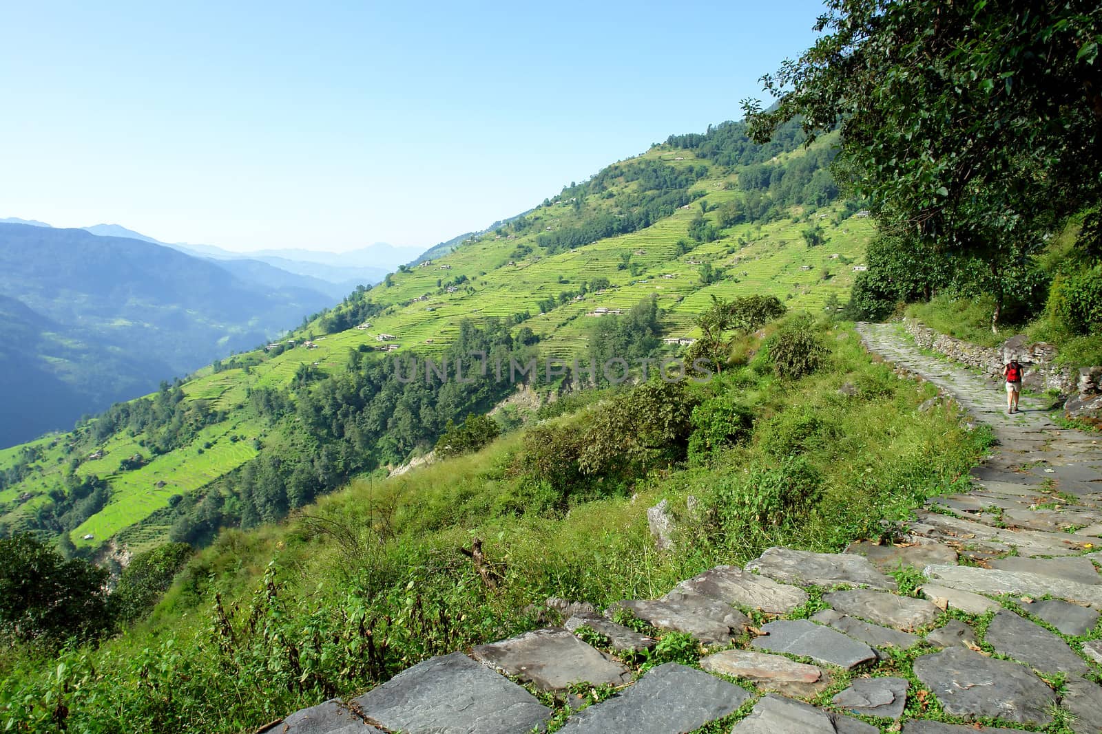 Trekkers in the Himalayan mountains, Annapurna conservation regi by ptxgarfield