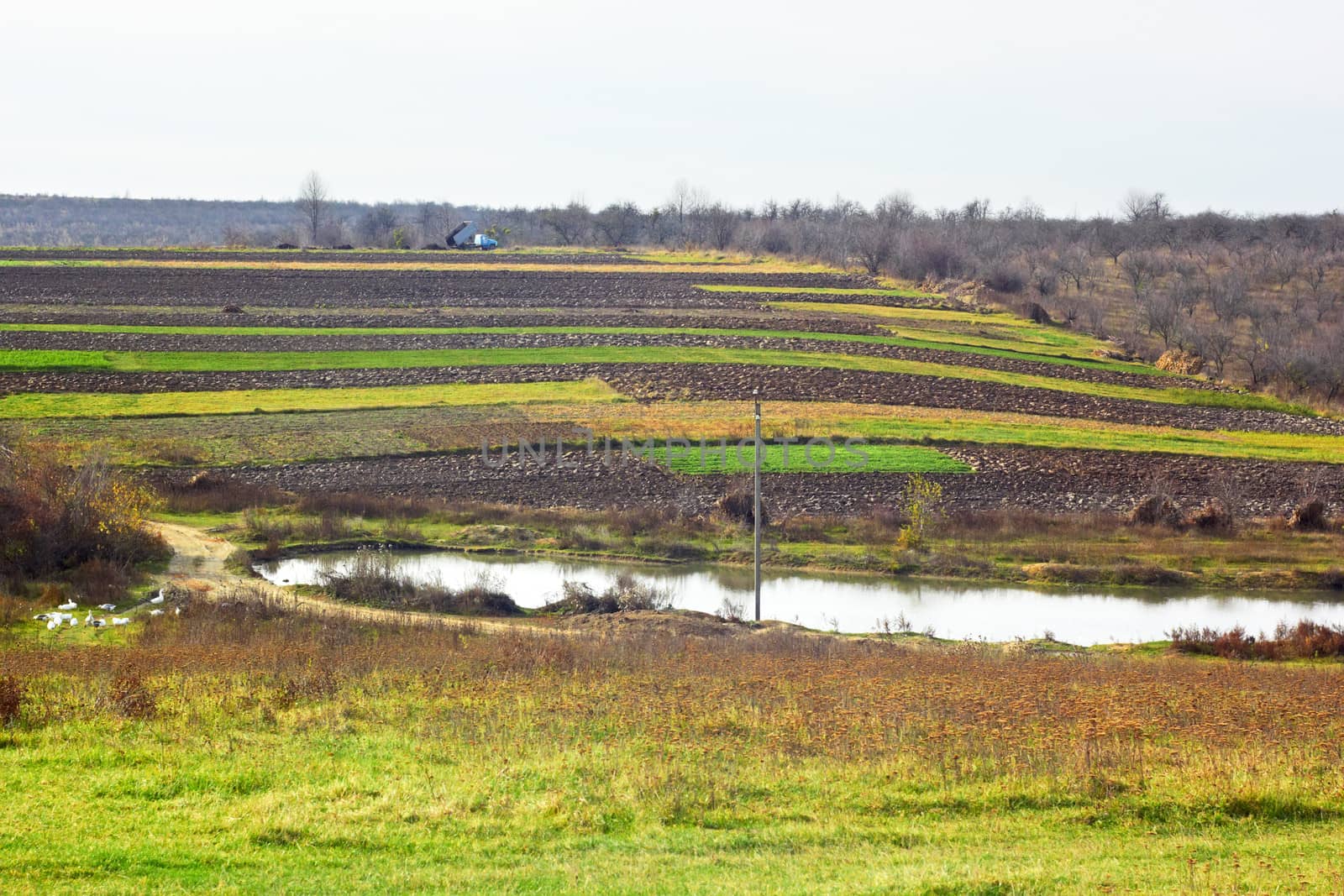 Rural autumn scenery by qiiip