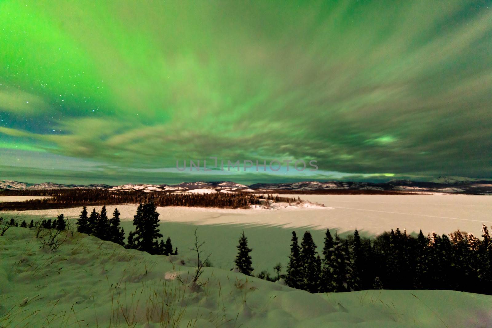 Light clouds and Northern Lights or Aurora borealis or polar lights on night sky over snowy winter landscape of Lake Laberge Yukon Territory Canada