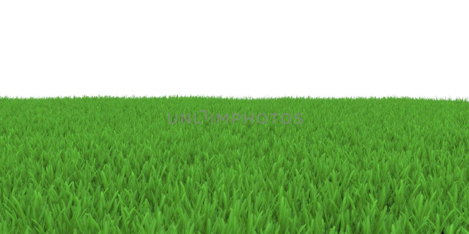 Field of green grass. 3d render on white background