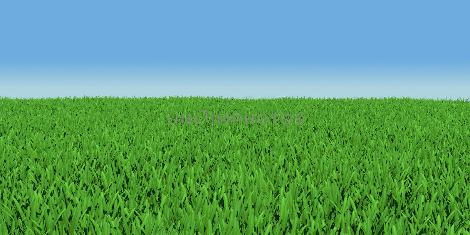 Field of green grass. 3d render on blue sky background