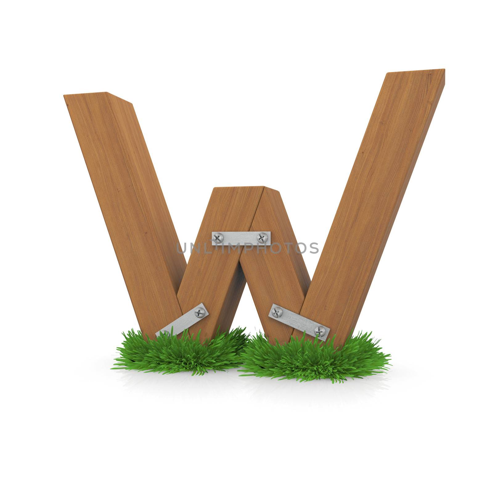 Wooden letter W in the grass. Isolated render with reflection on white background. bio concept