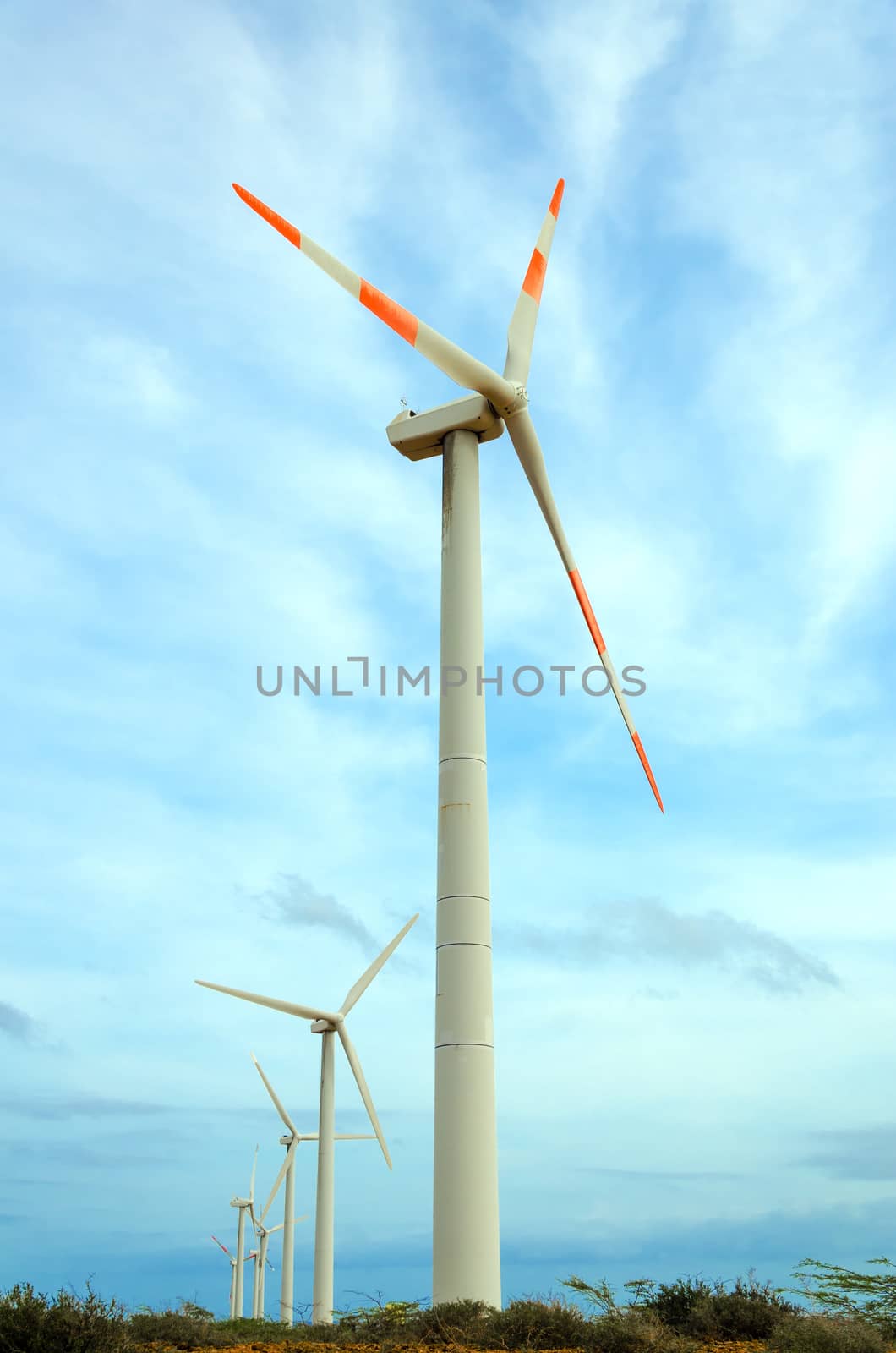 Row of Windmills by jkraft5