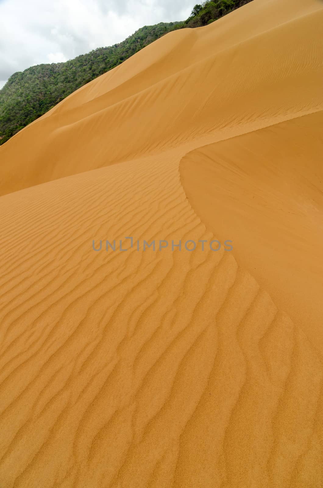 Vertical sand dune view in Macuira National Park in La Guajira, Colombia