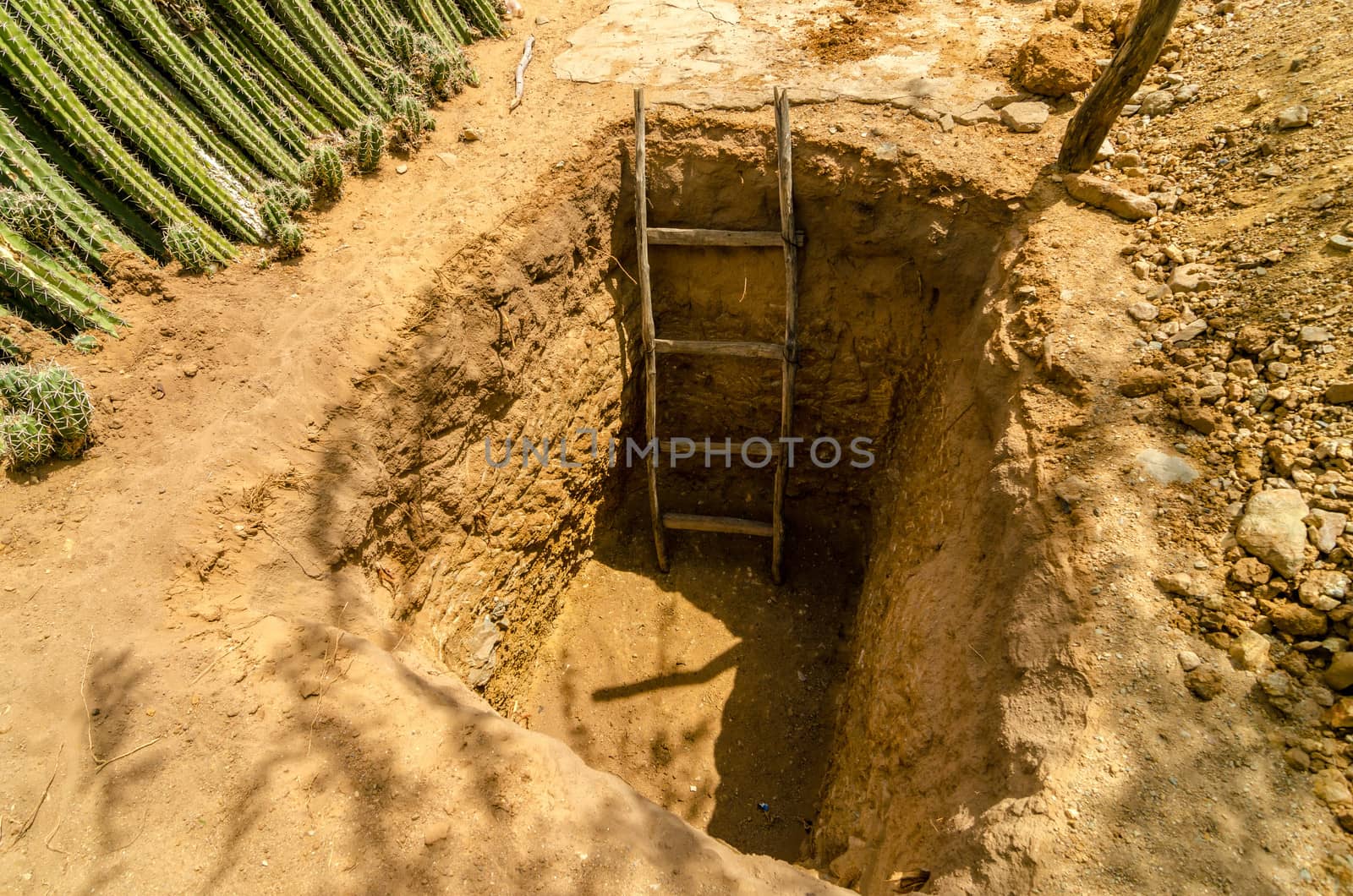A hole in the ground with a ladder in it