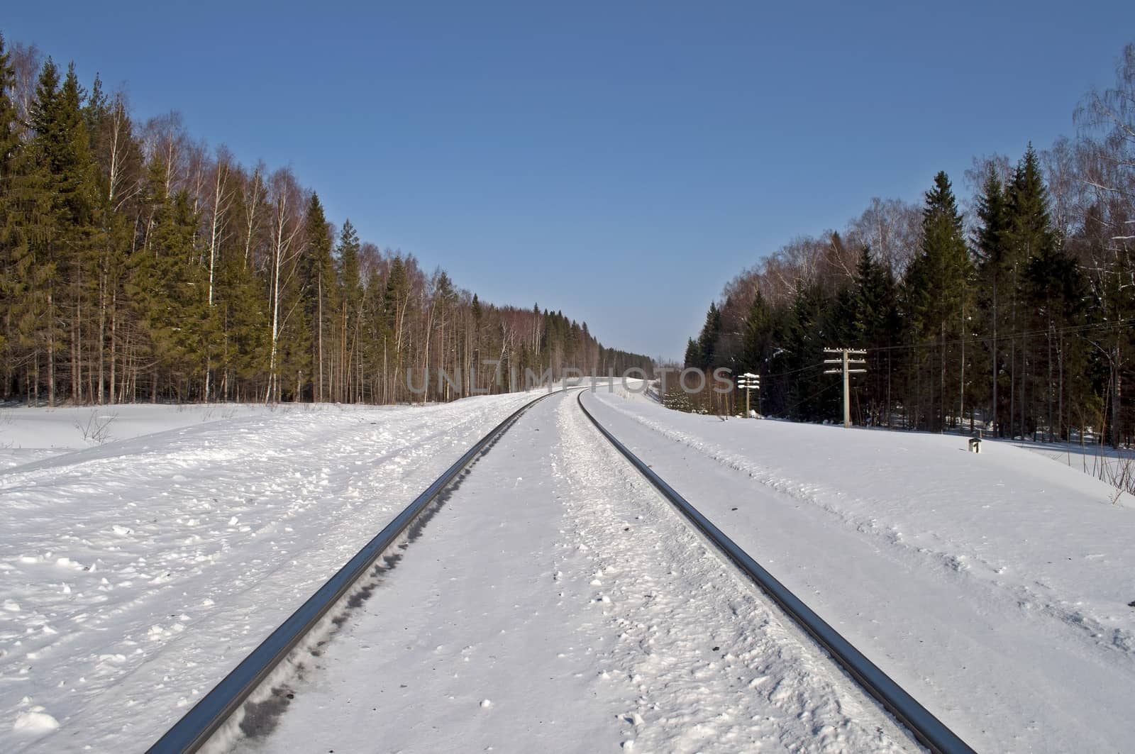 Snow-covered railway line runs through the forest