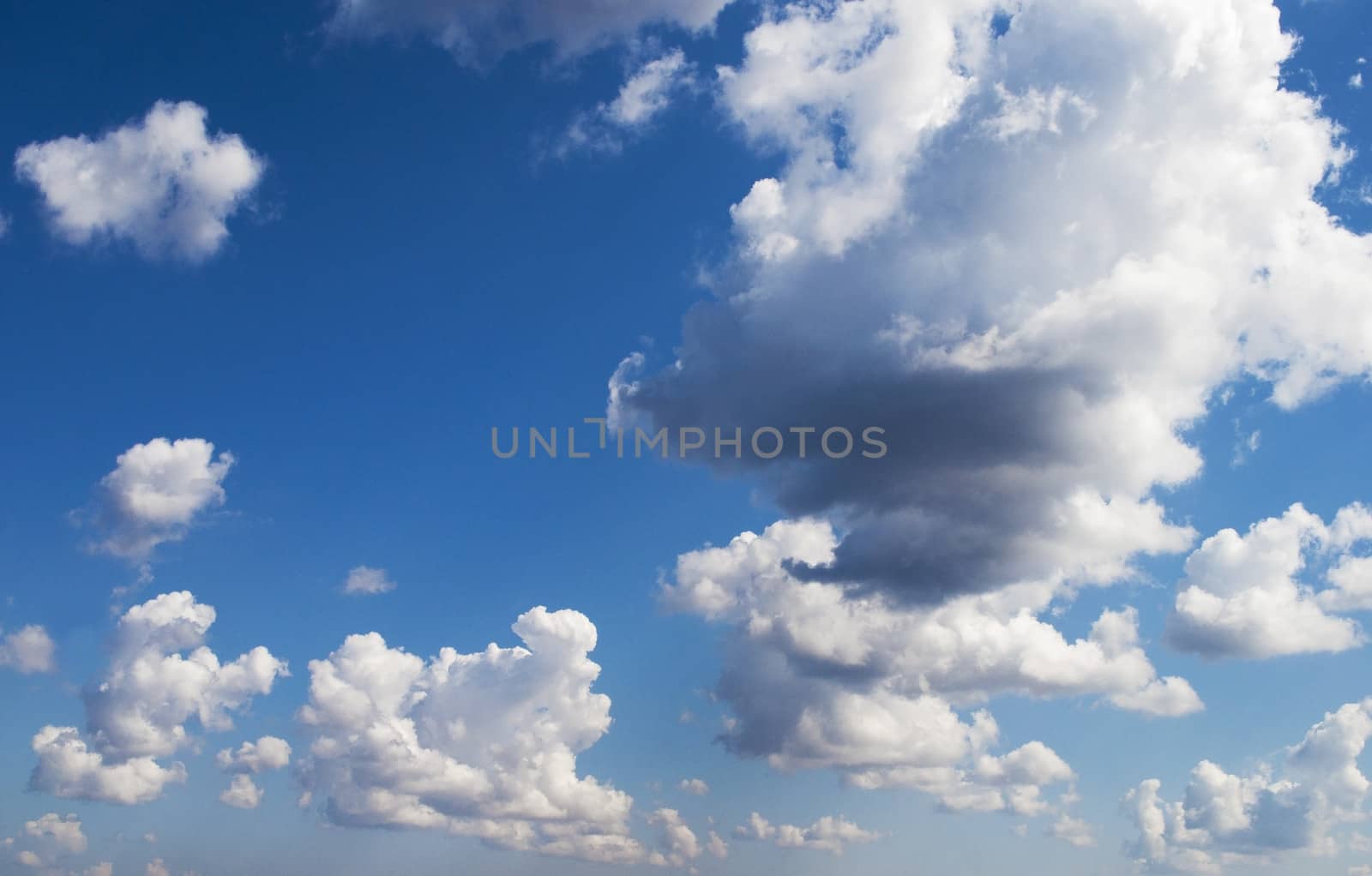 Cumulus clouds in sky by wander