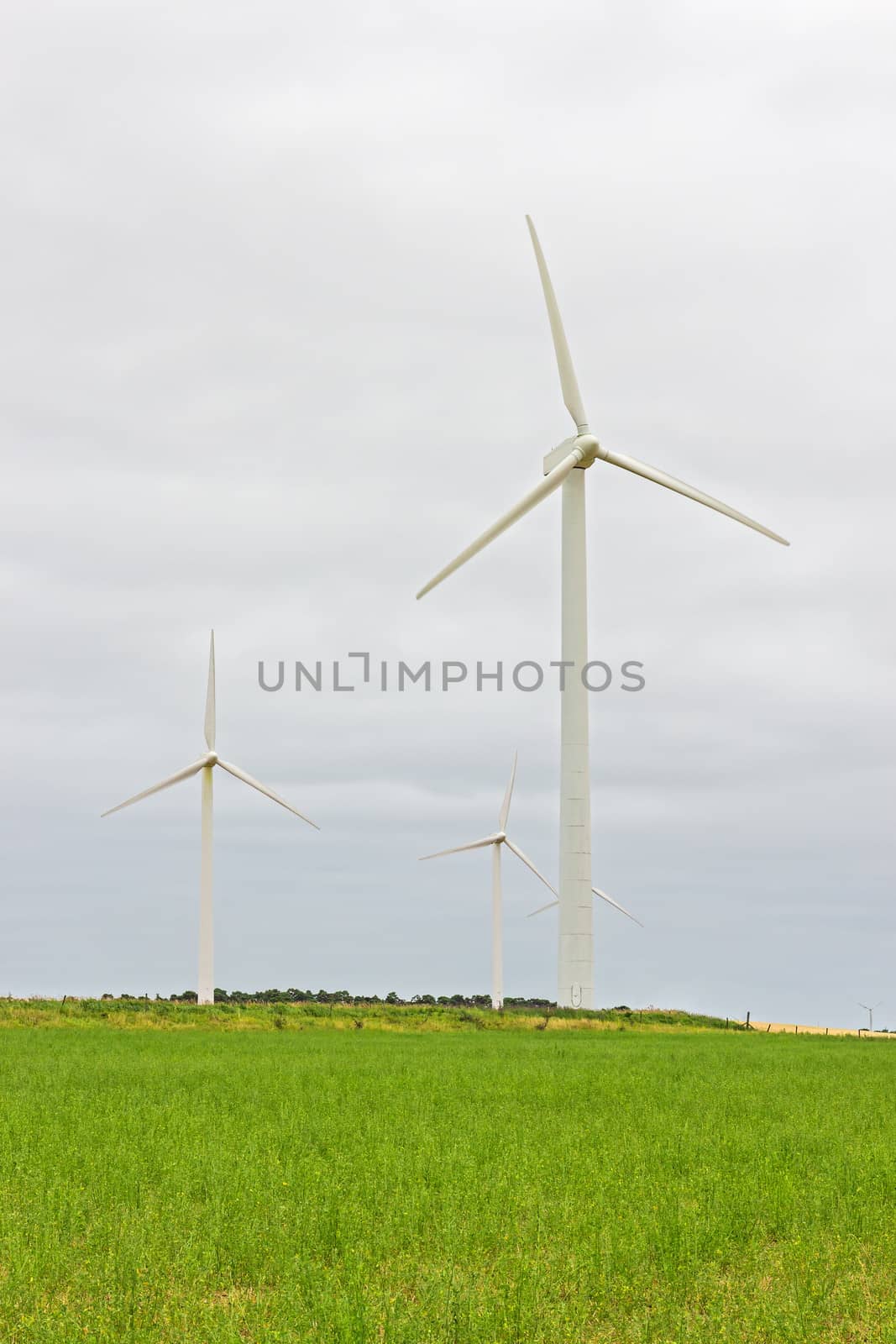 Wind turbines in a green field, source of alternative energy.