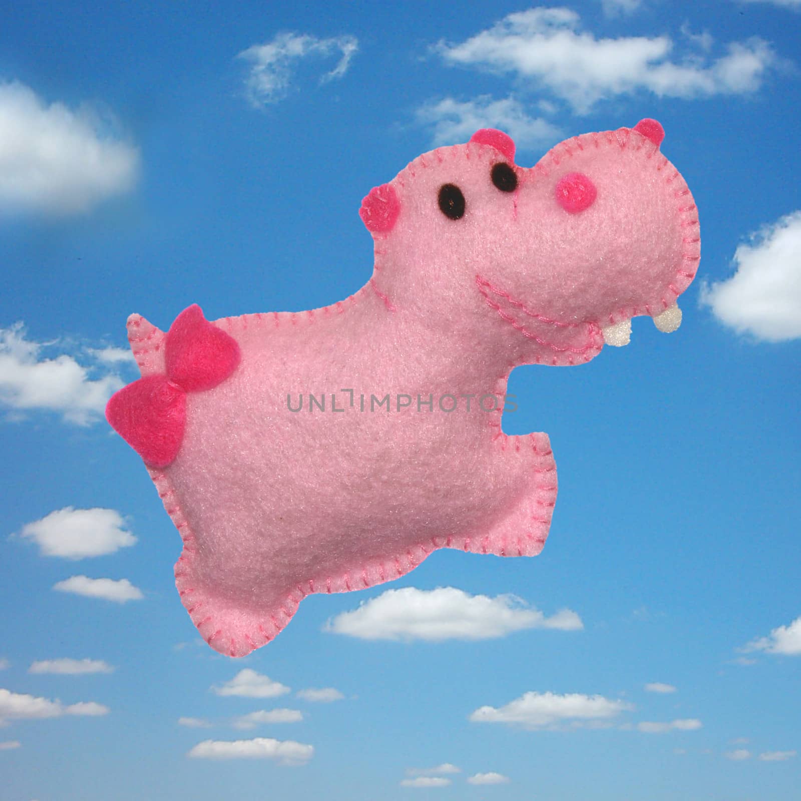 Hippo in the sky - kids toys