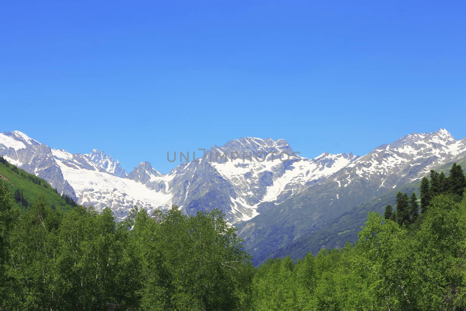Snowy caucasus mountains and green forest under