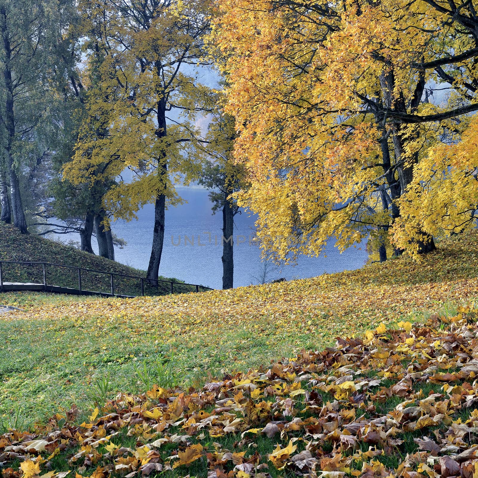 Beautiful autumn park by Severas