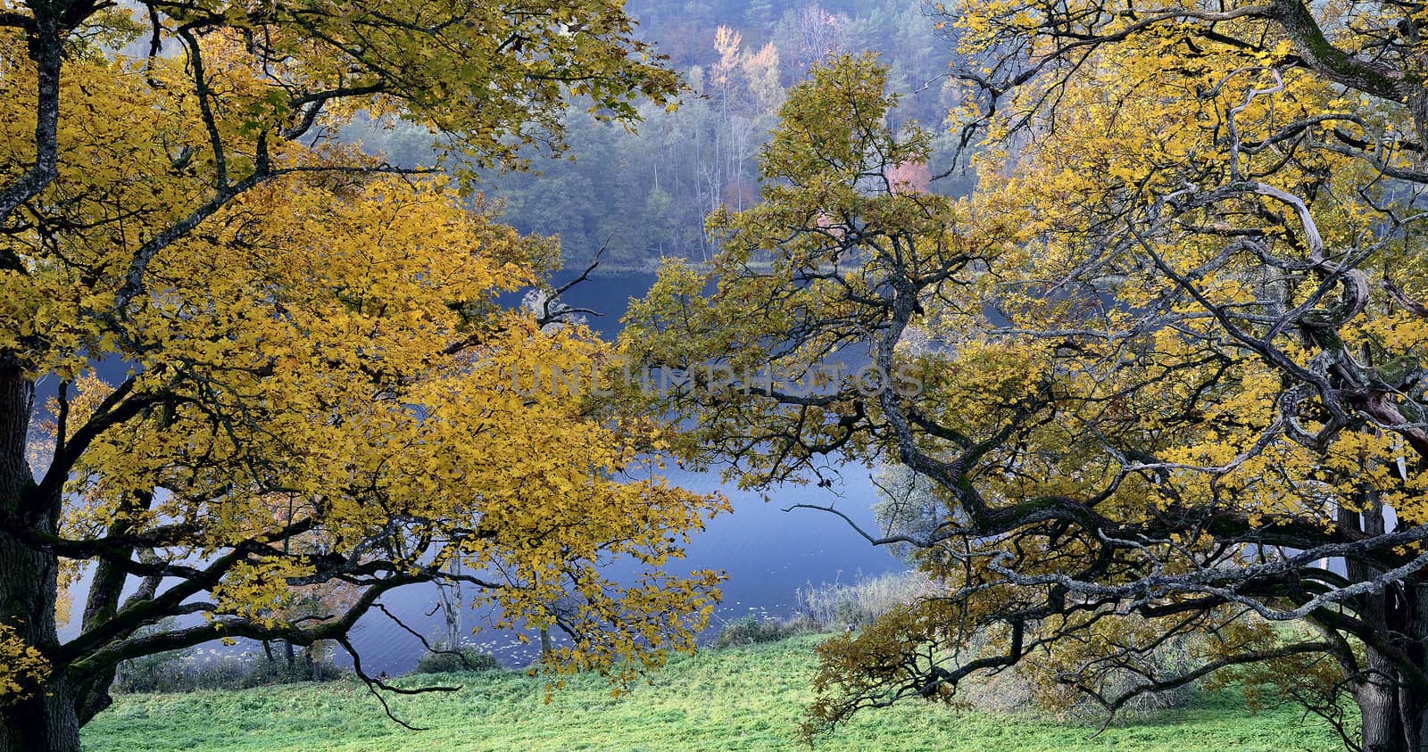 Beautiful autumn park and Asveja lake in 'Asveja Regional Park' in the Lithuania