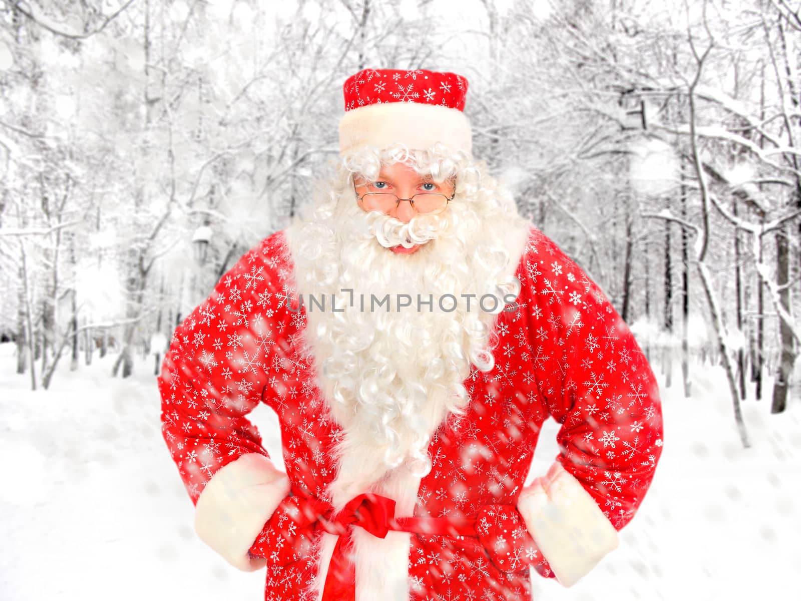 Santa Claus in the Winter Forest