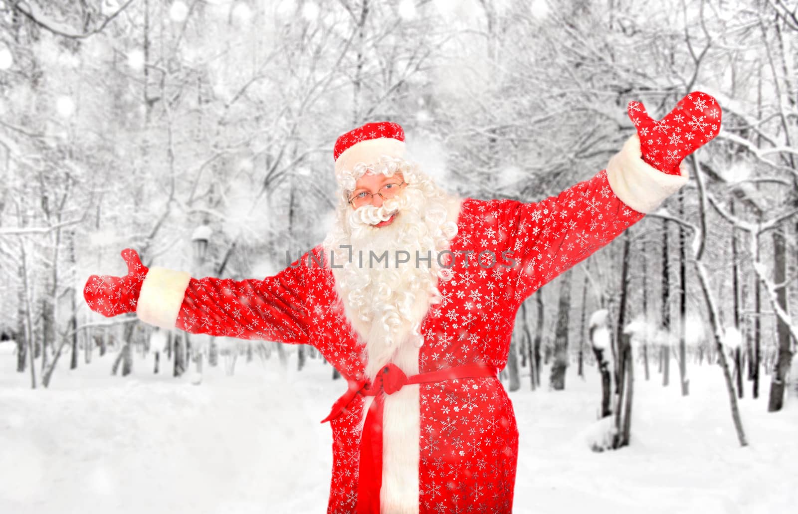 Happy Santa Claus in the Winter Forest