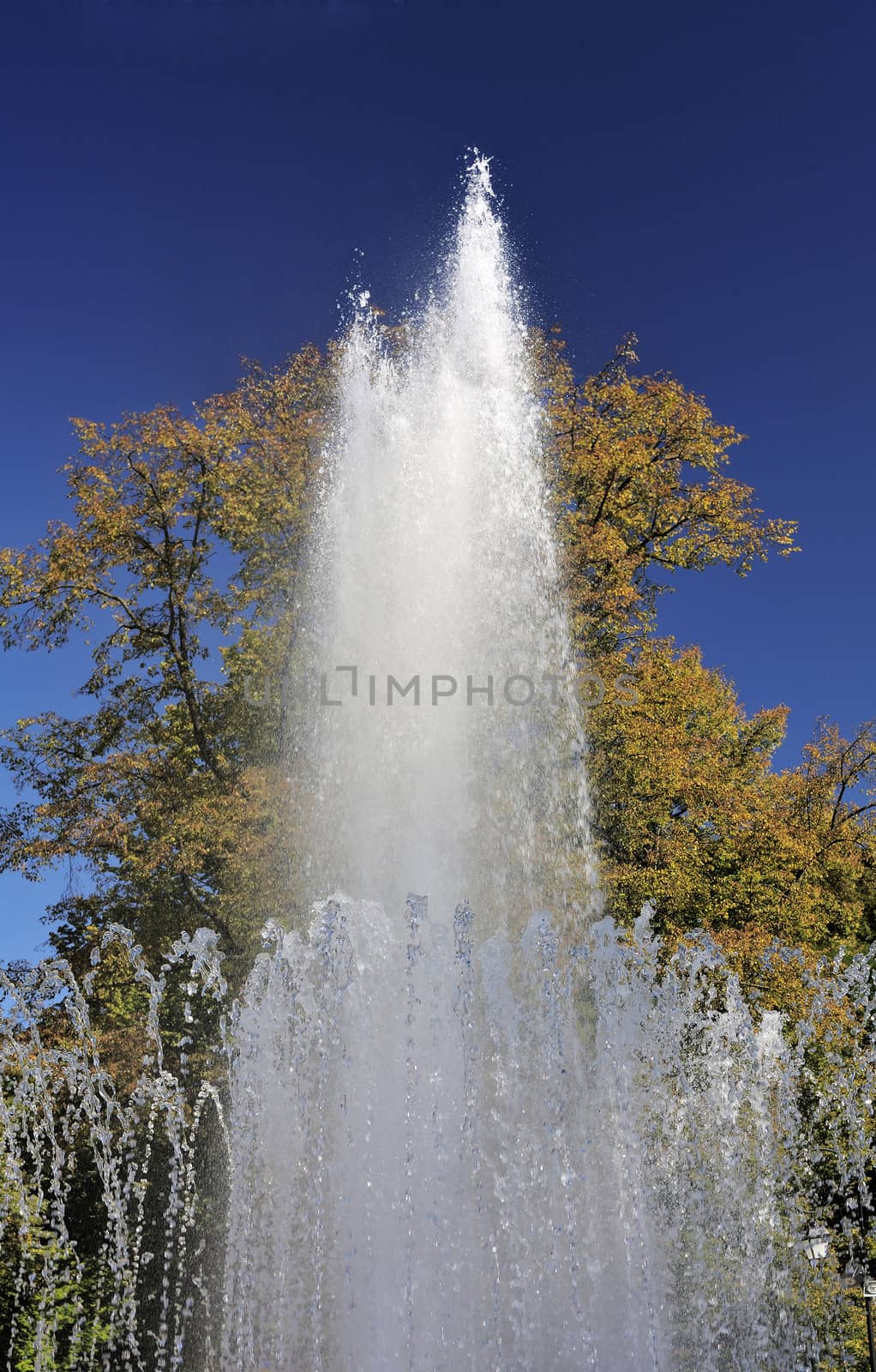 Splashes of fountain water in a sunny day

