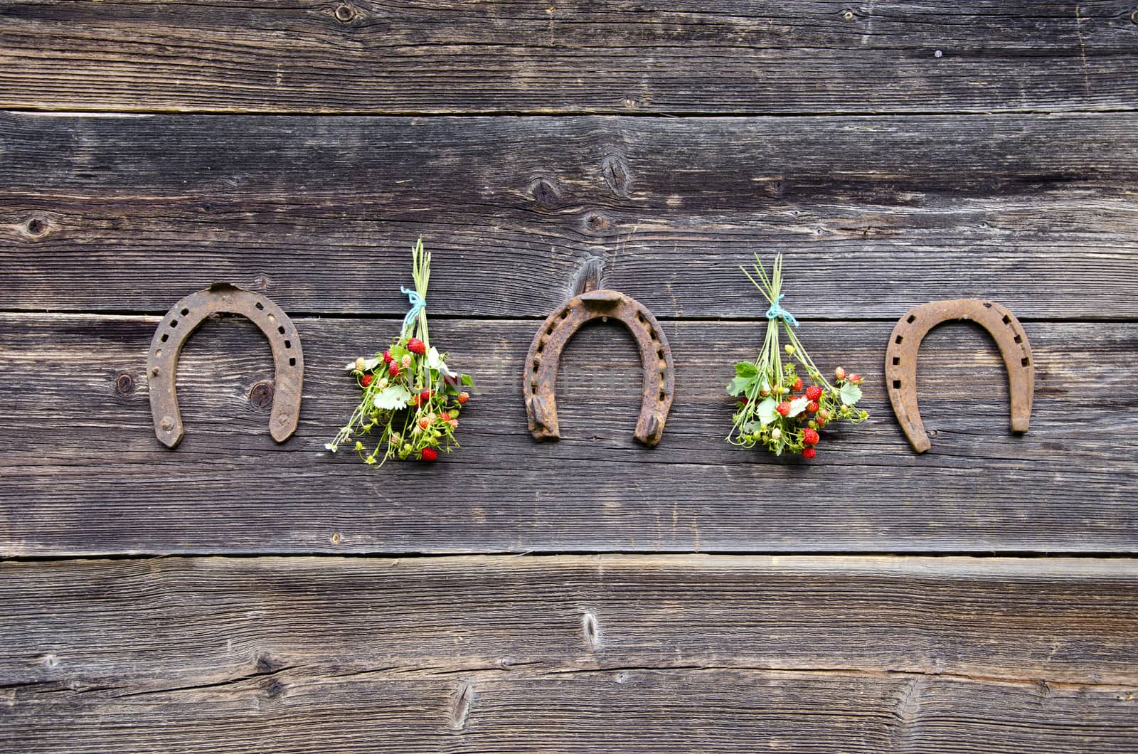 three rusted horseshoe and wild strawberry bunch on old wooden wall