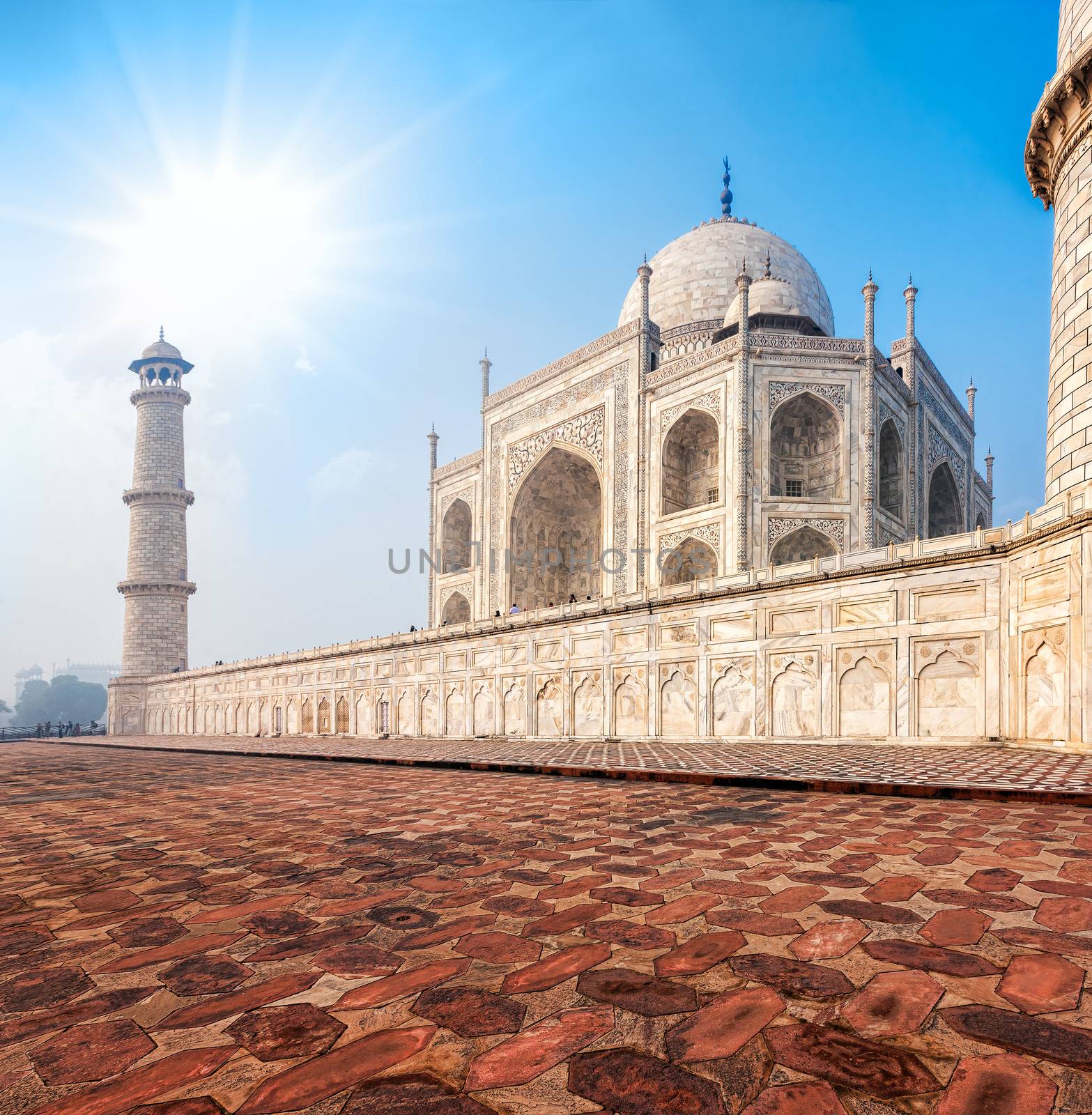 Taj Mahal. Indian Palace. Agra, Uttar Pradesh, India, Asia