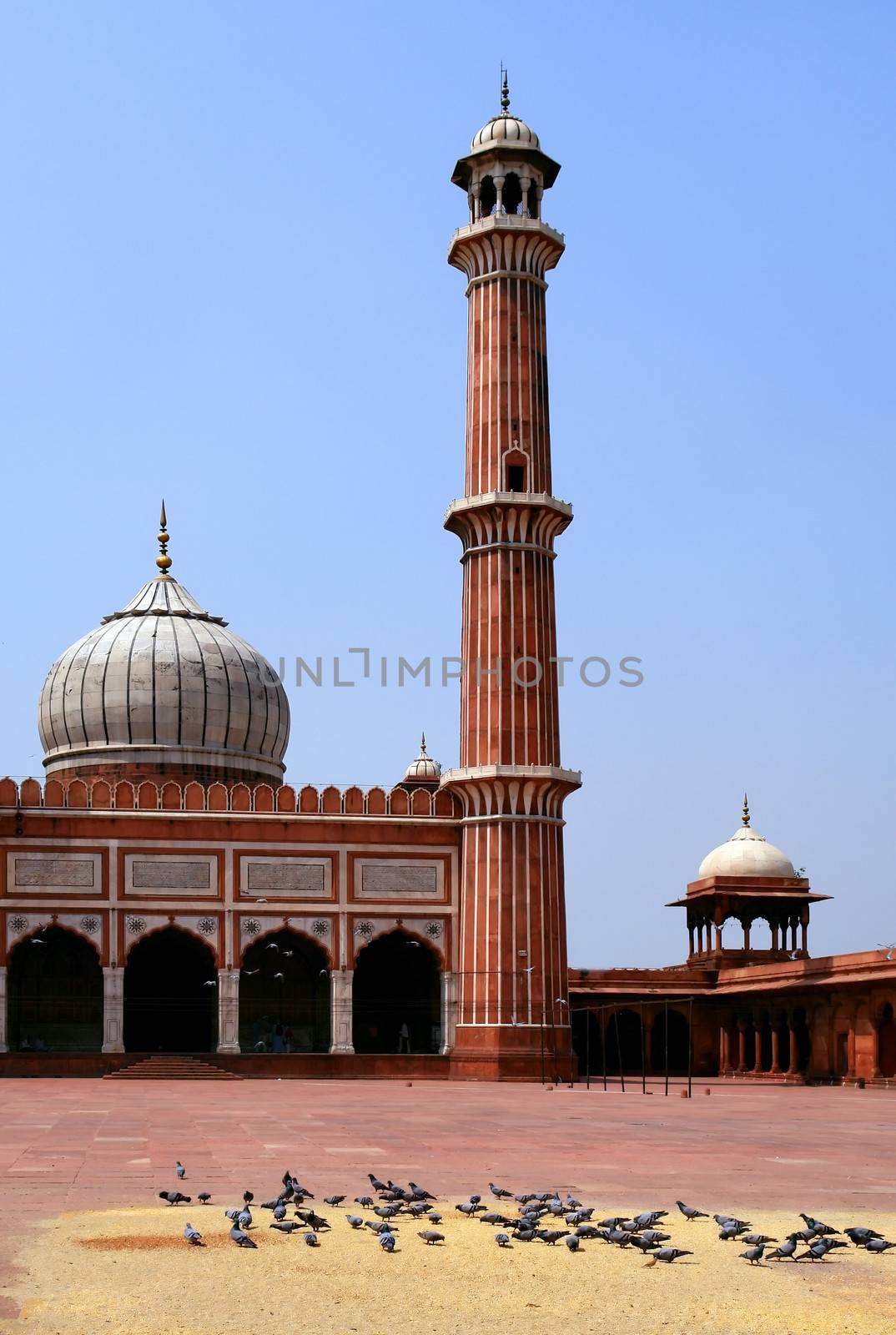 Jama Masjid Mosque, old Delhi, India.