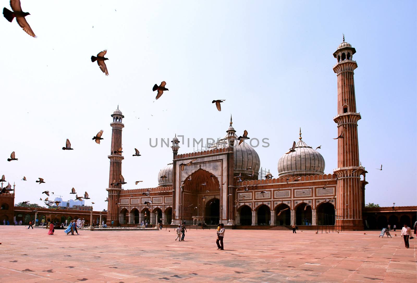 Jama Masjid Mosque, old Delhi, India.