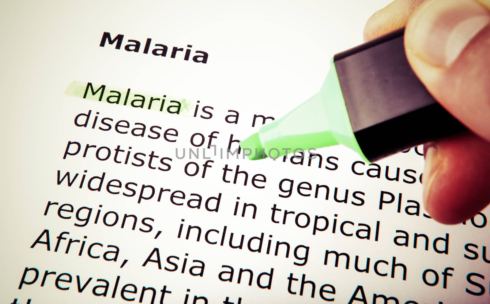 Malaria