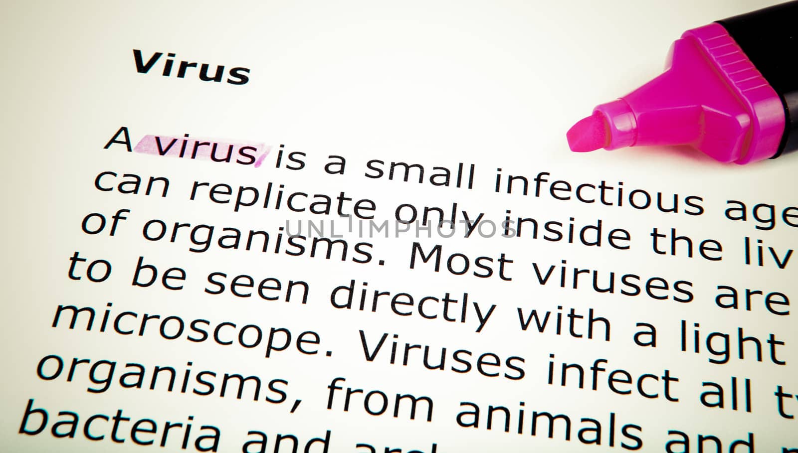 Virus