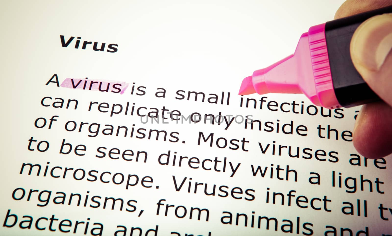 Virus
