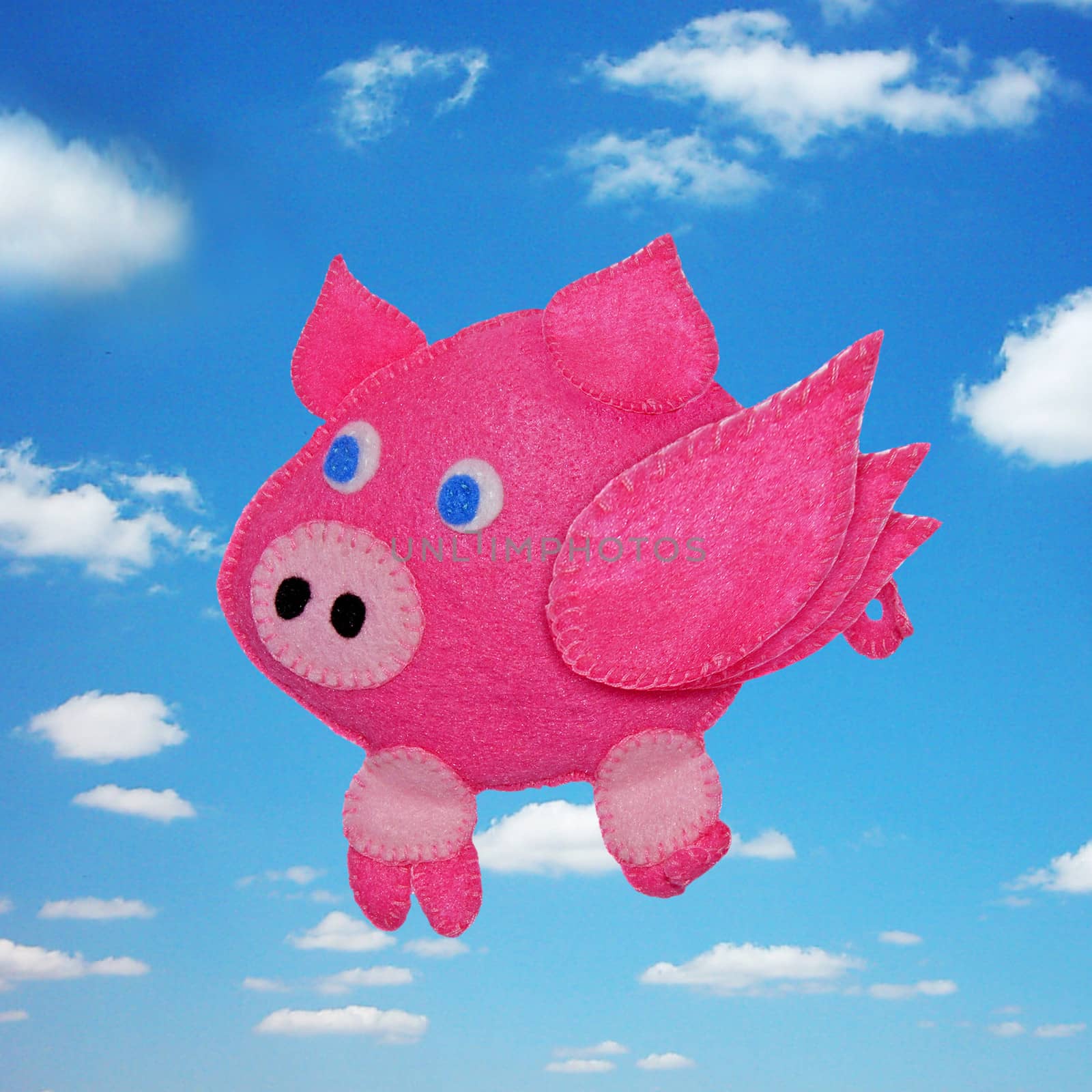 Flying pig by sattva