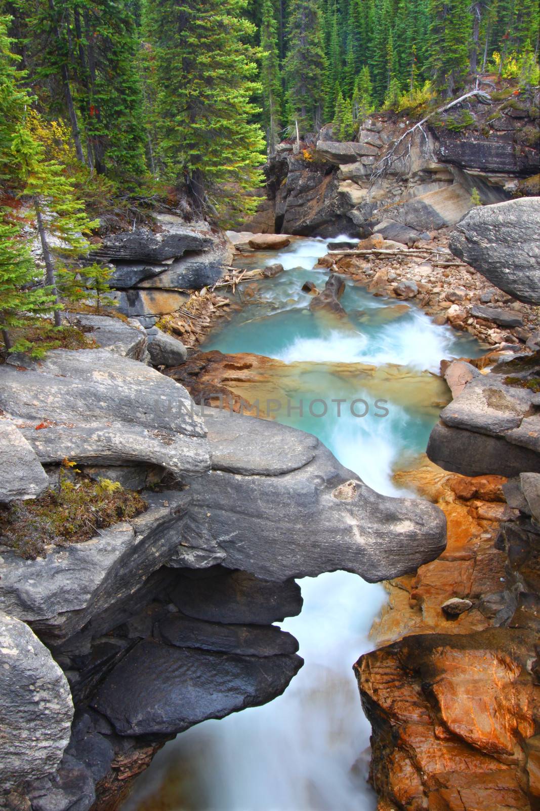 Twin Falls Creek flows through a narrow gorge in Yoho National Park of Canada.