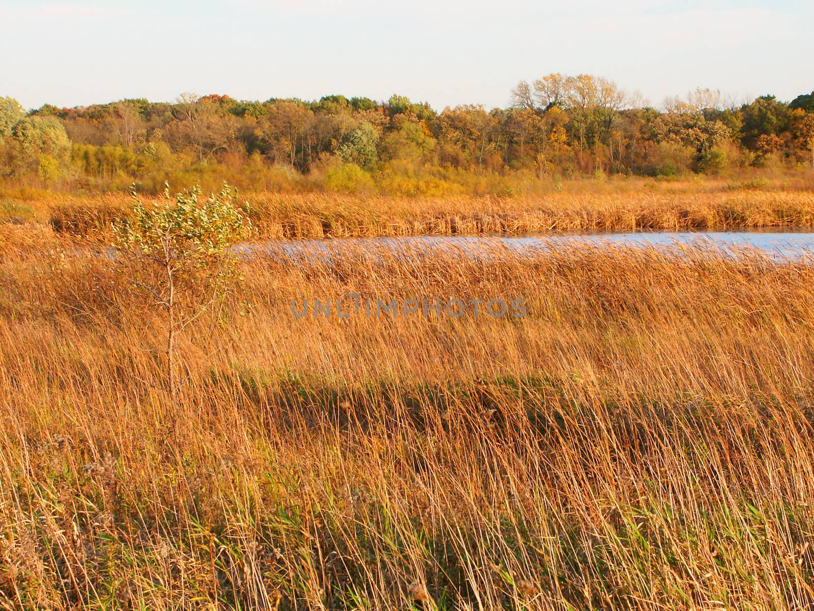 Wadsworth Prairie Nature Preserve Illinois by Wirepec