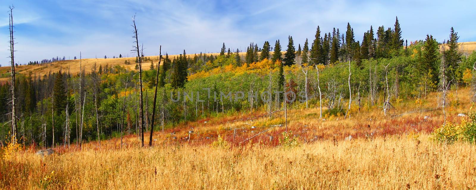 Beautiful autumn scenery of Glacier County in rural Montana.