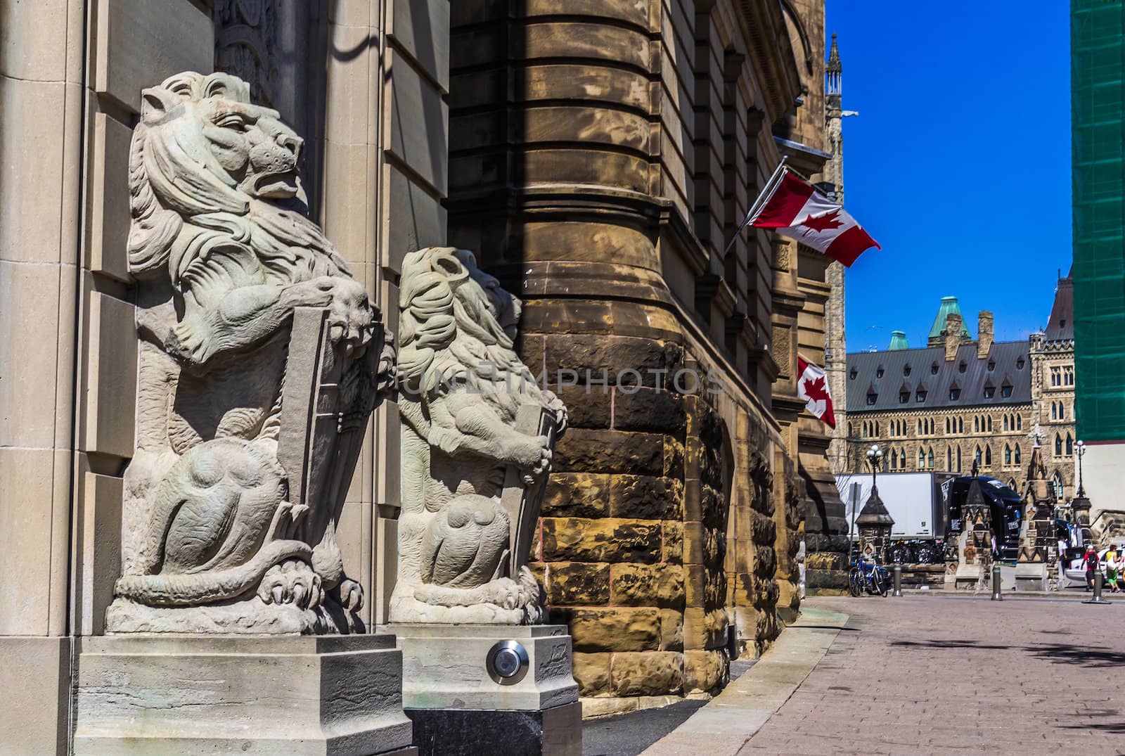 Lion statues on Parliament hill by petkolophoto