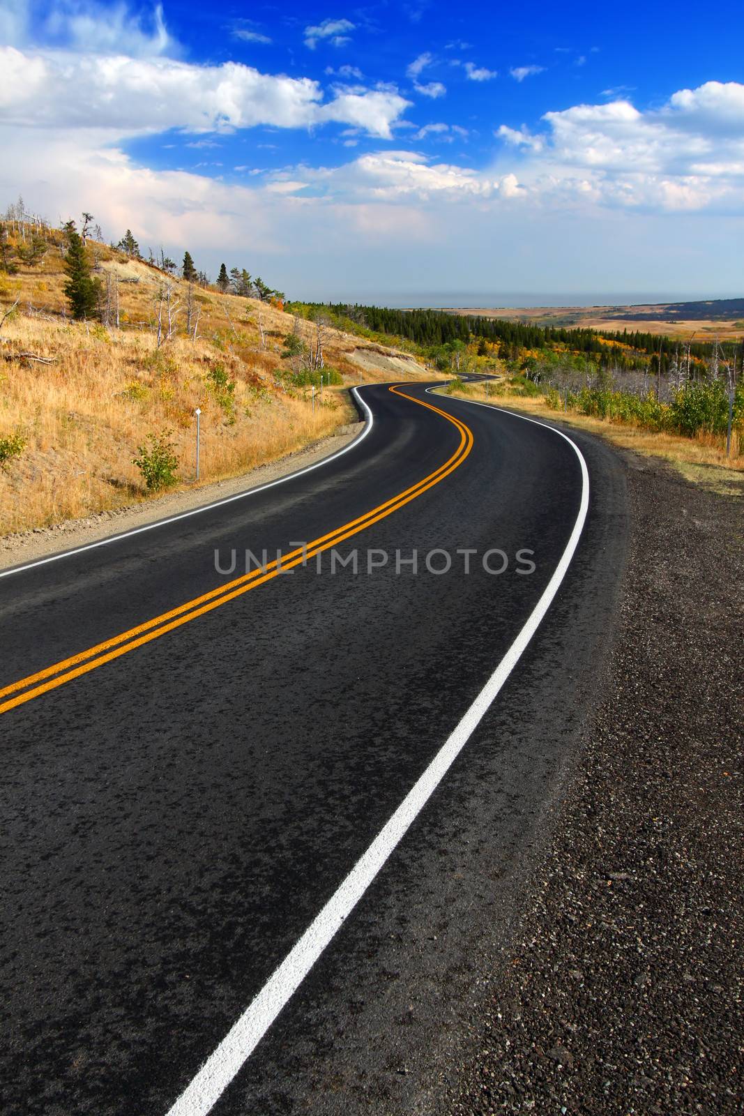 Winding road through the rural contryside of Glacier County Montana.